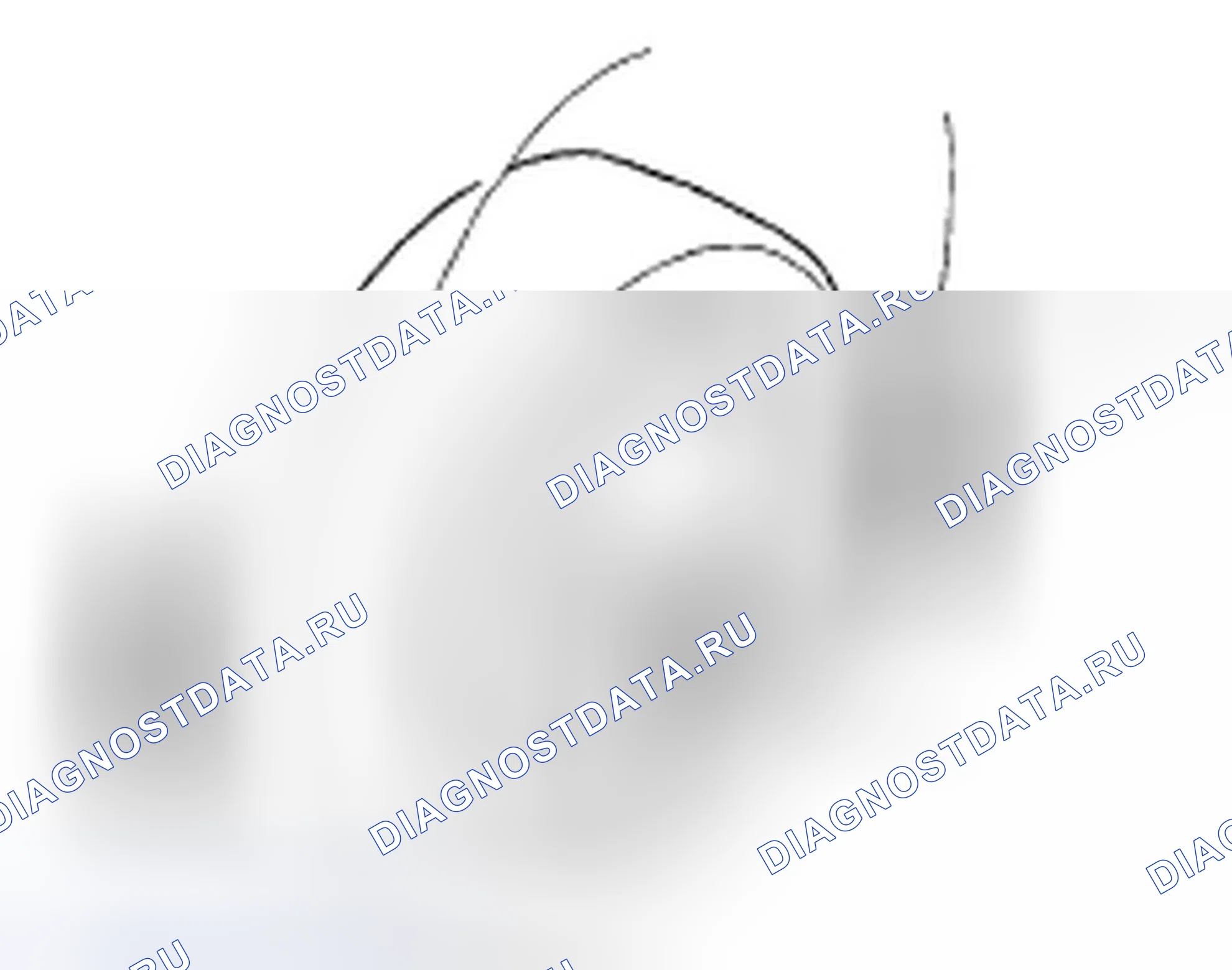 Рис. 13. Honda Element YH2 рестайлинг
