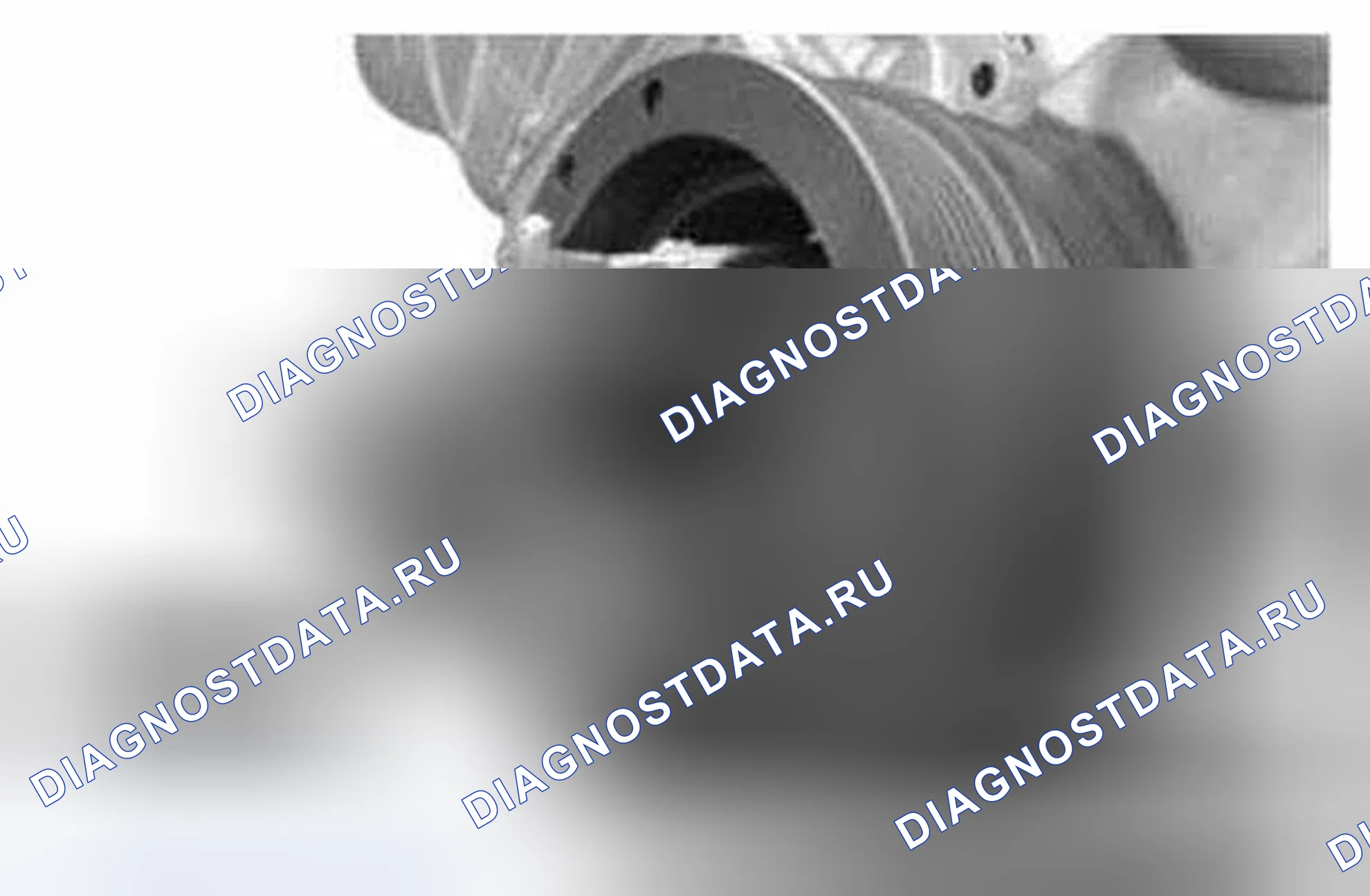 Рис. 1276. Ford Mustang V рестайлинг