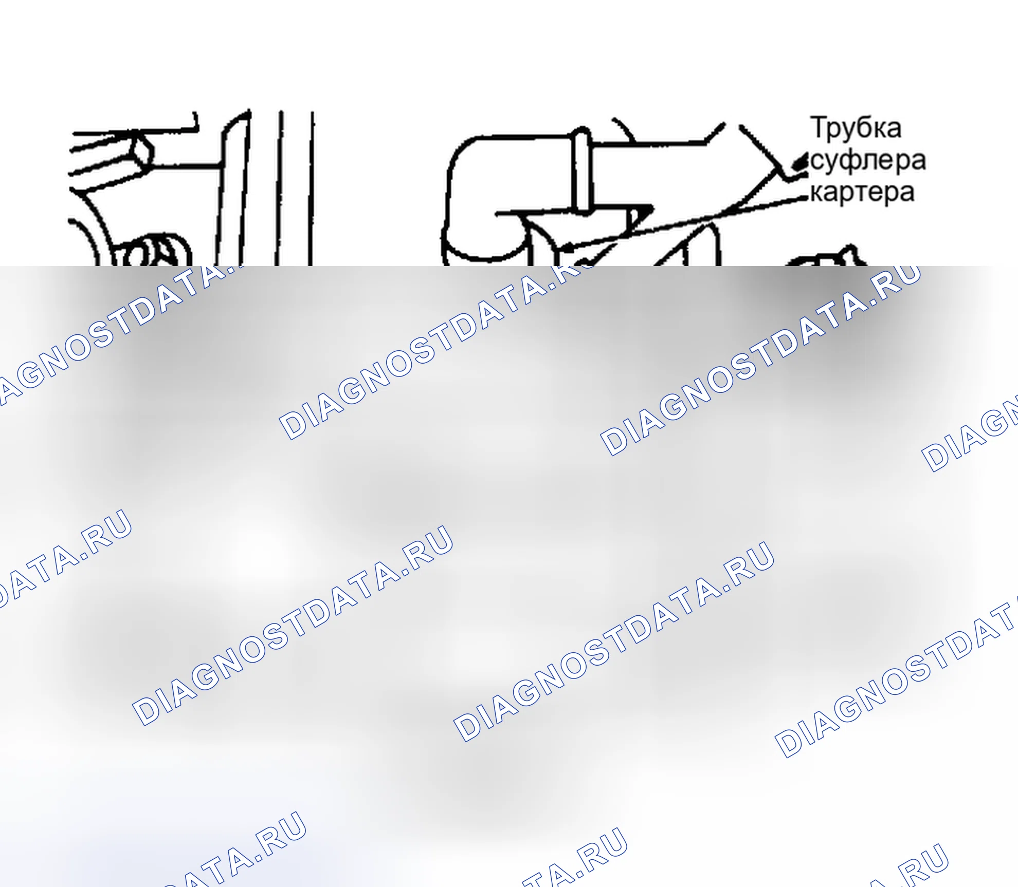 Рис. 2. Volkswagen Fox G1