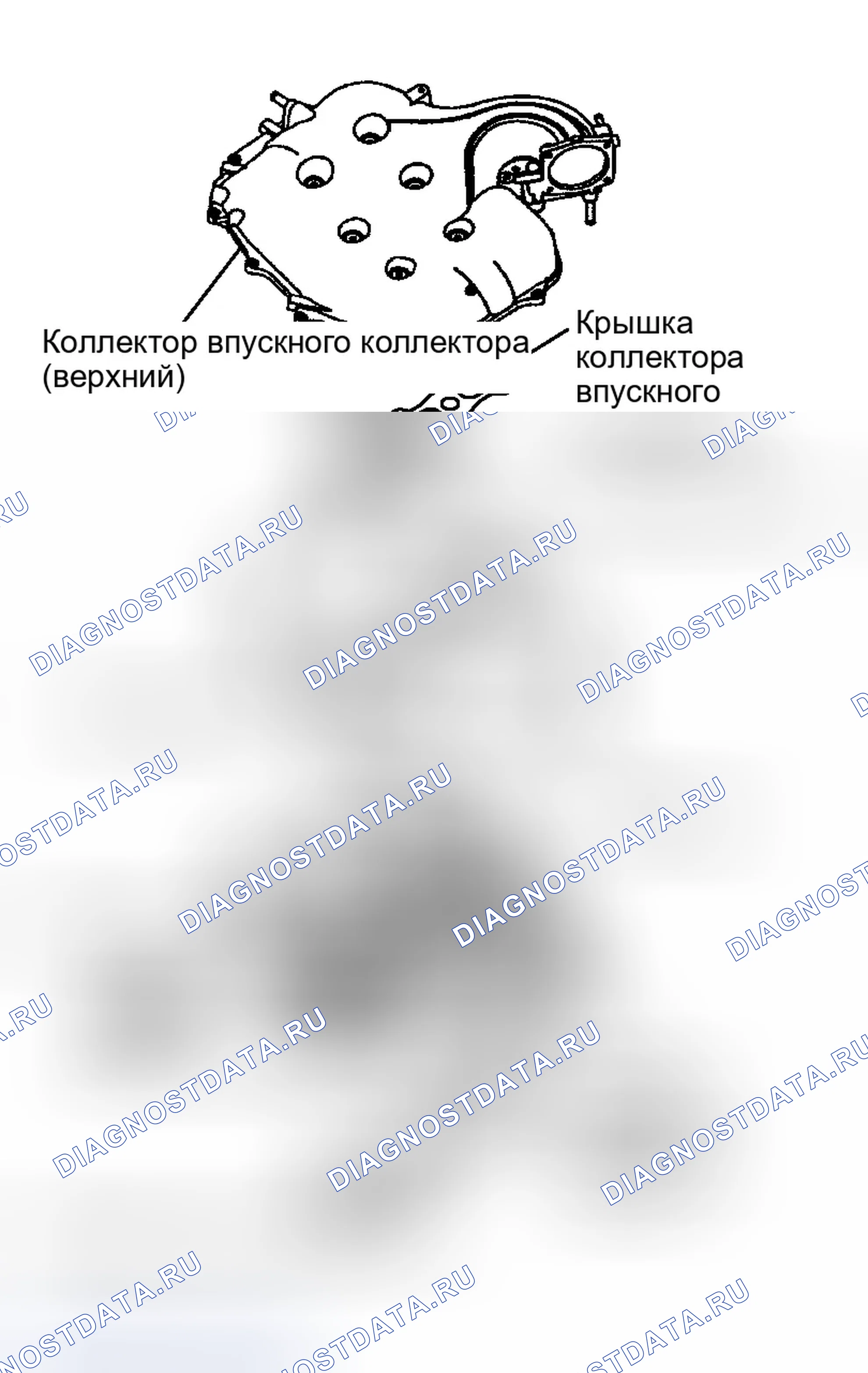 Рис. 518: Указание направления установки компонента. Infiniti G35 III