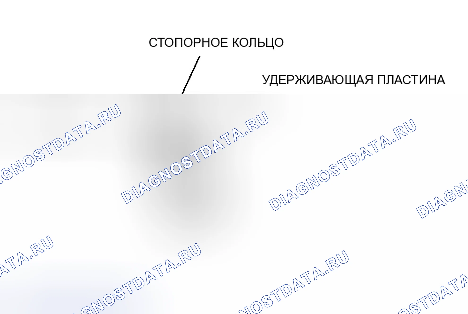 Рис. 79. Audi R8 I