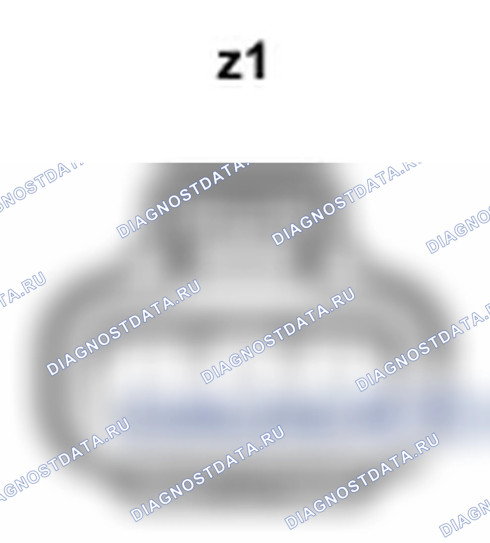 Рис. 527: Вид с торца разъема ECU вентилятора охлаждения № 2 (z1). Lexus IS F I