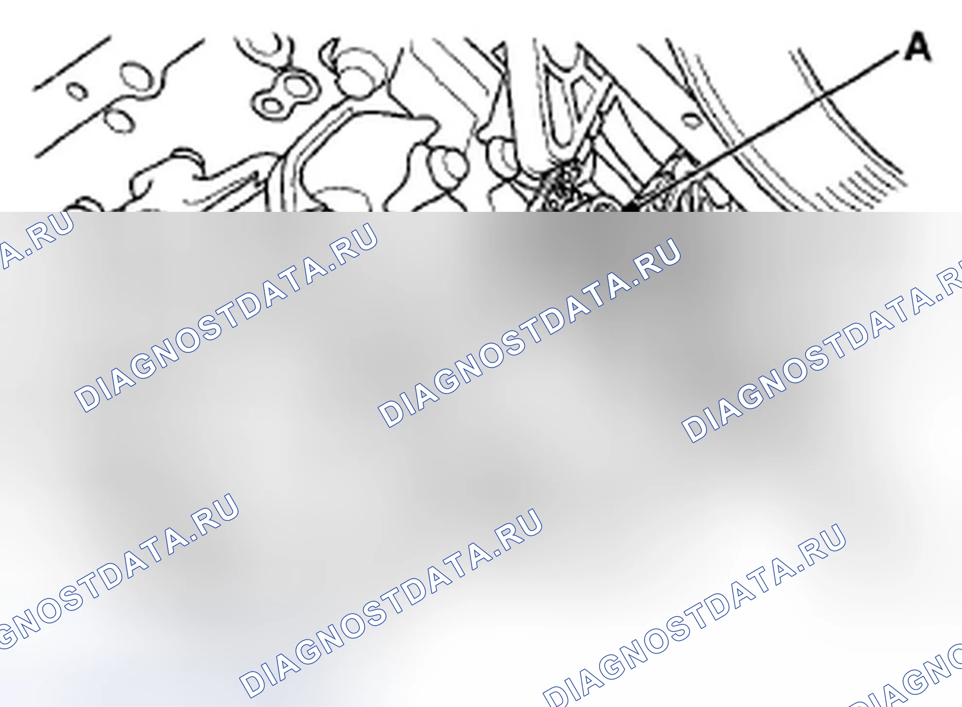 Рис. 57. Honda Accord VIII рестайлинг
