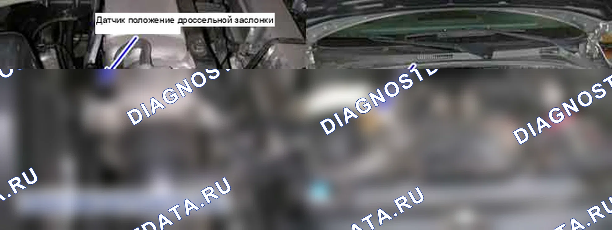 P0123: высокий уровень сигнала цепи датчика положения дроссельной заслонки (TPS). Kia Sorento BL