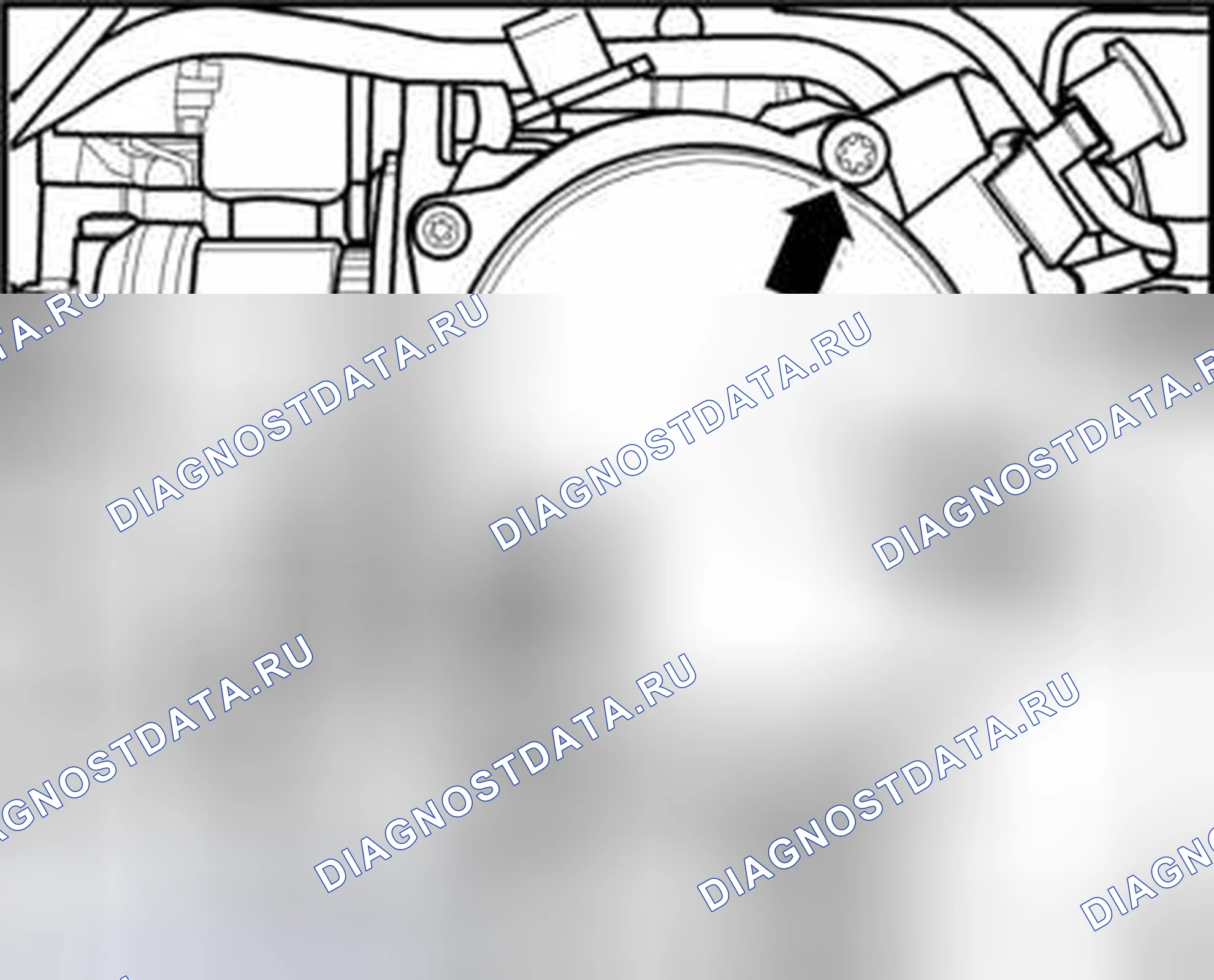 Рис. 98: Идентификация болтов вакуумного насоса. Volkswagen Tiguan I