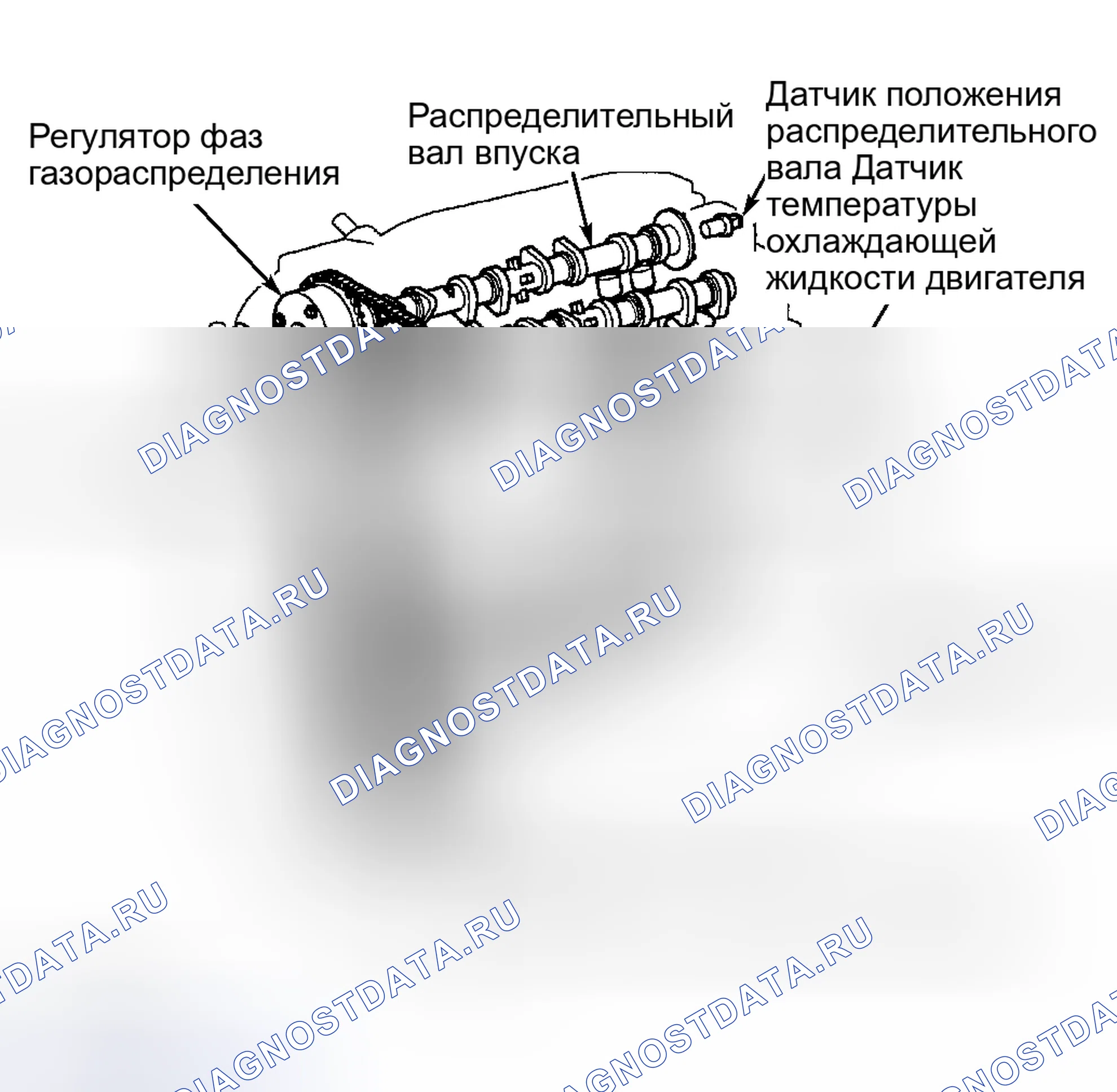 Рис. 56: CAMRY 2.4L 4-CYL., CAMRY SOLARA 2.4L 4-CYL., CELICA, COROLLA, ECHO, HIGHLANDER 2.4L 4-CYL., MATRIX,. Toyota Land Cruiser 100 рестайлинг