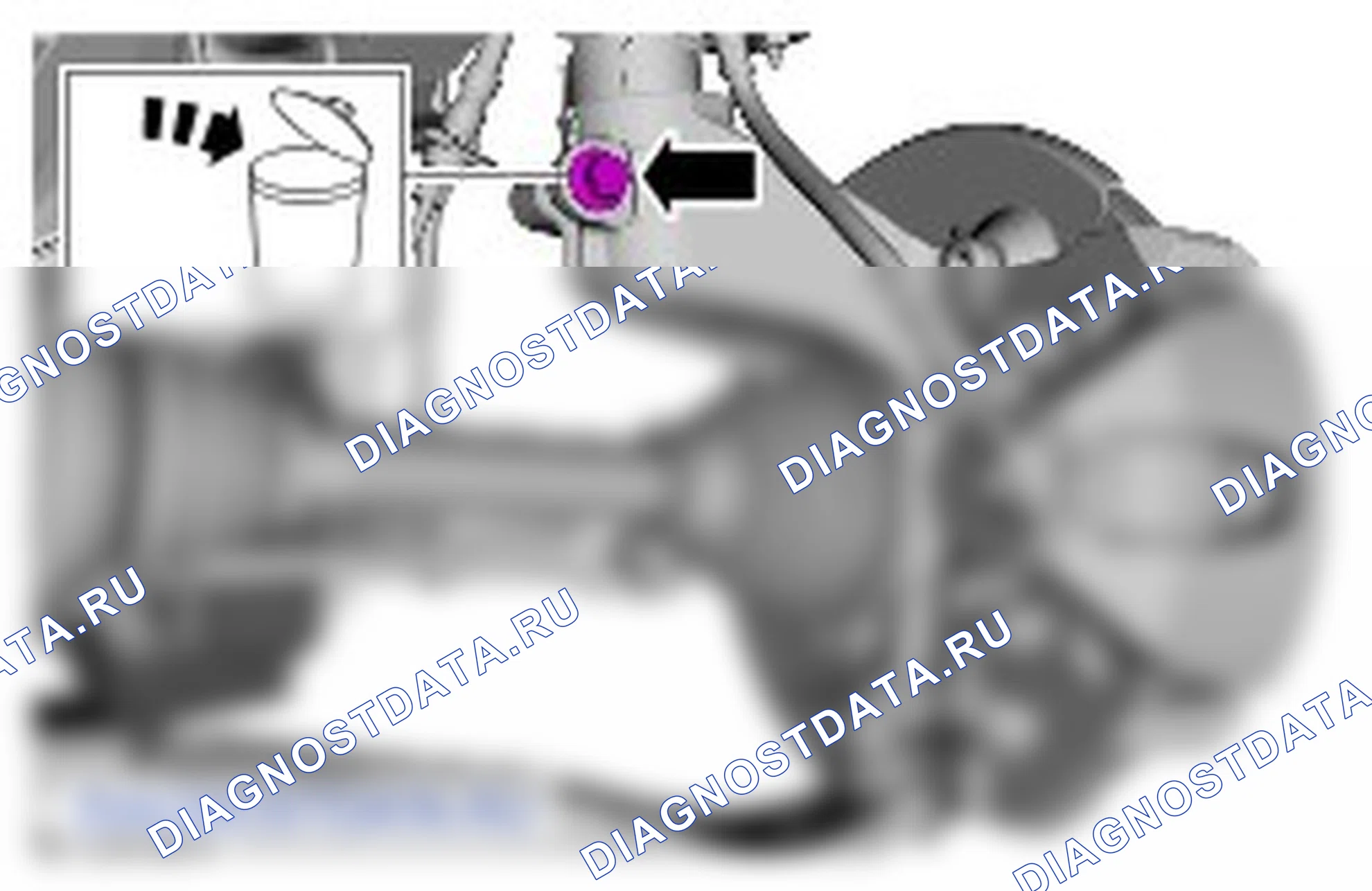 Передняя стойка и пружина в сборе: описание и работа. Ford Galaxy III