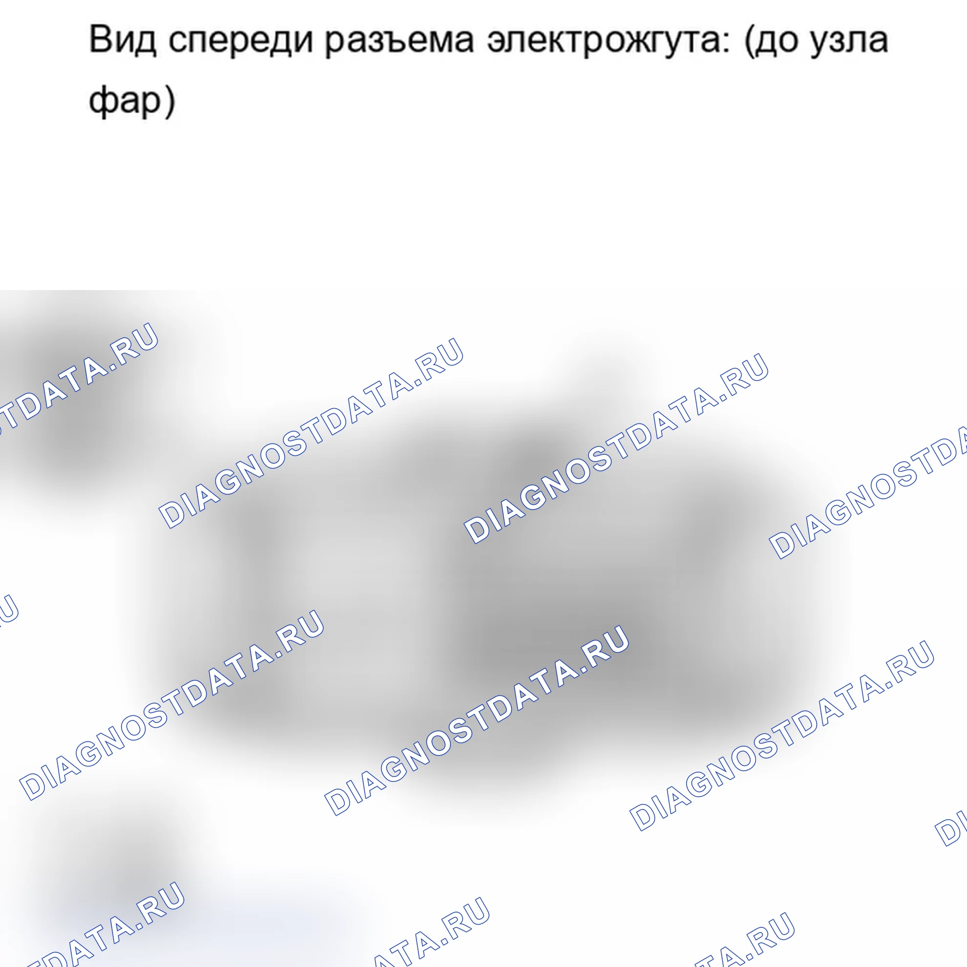 Рис. 204. Lexus IS F I