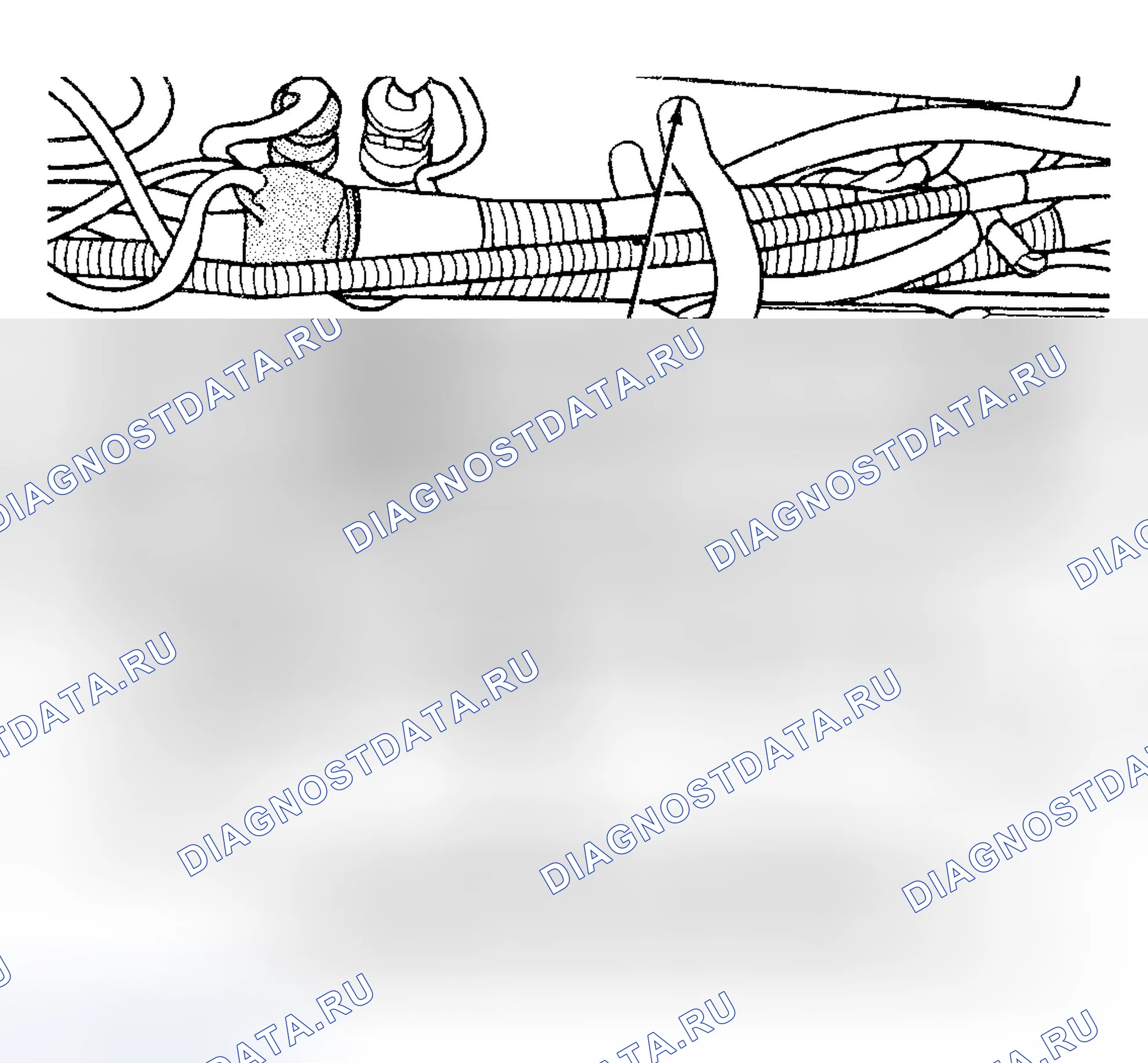 Рис. 1031. Dodge Pickup R1500 
