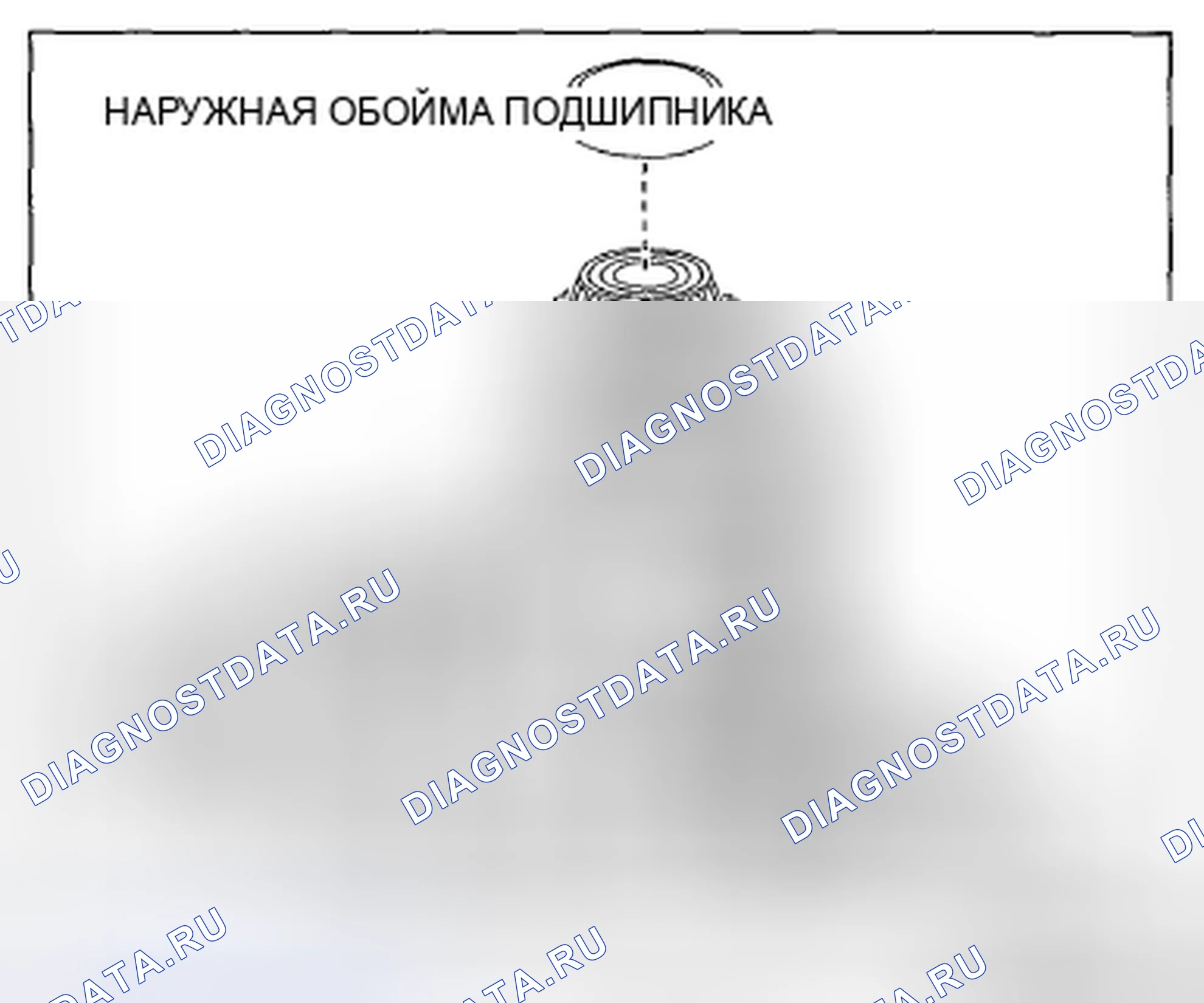 Рис. 645: Наружное кольцо подшипника, регулировочная прокладка, примечание к компоненту корпуса трансмиссия. Mazda 3 BL рестайлинг