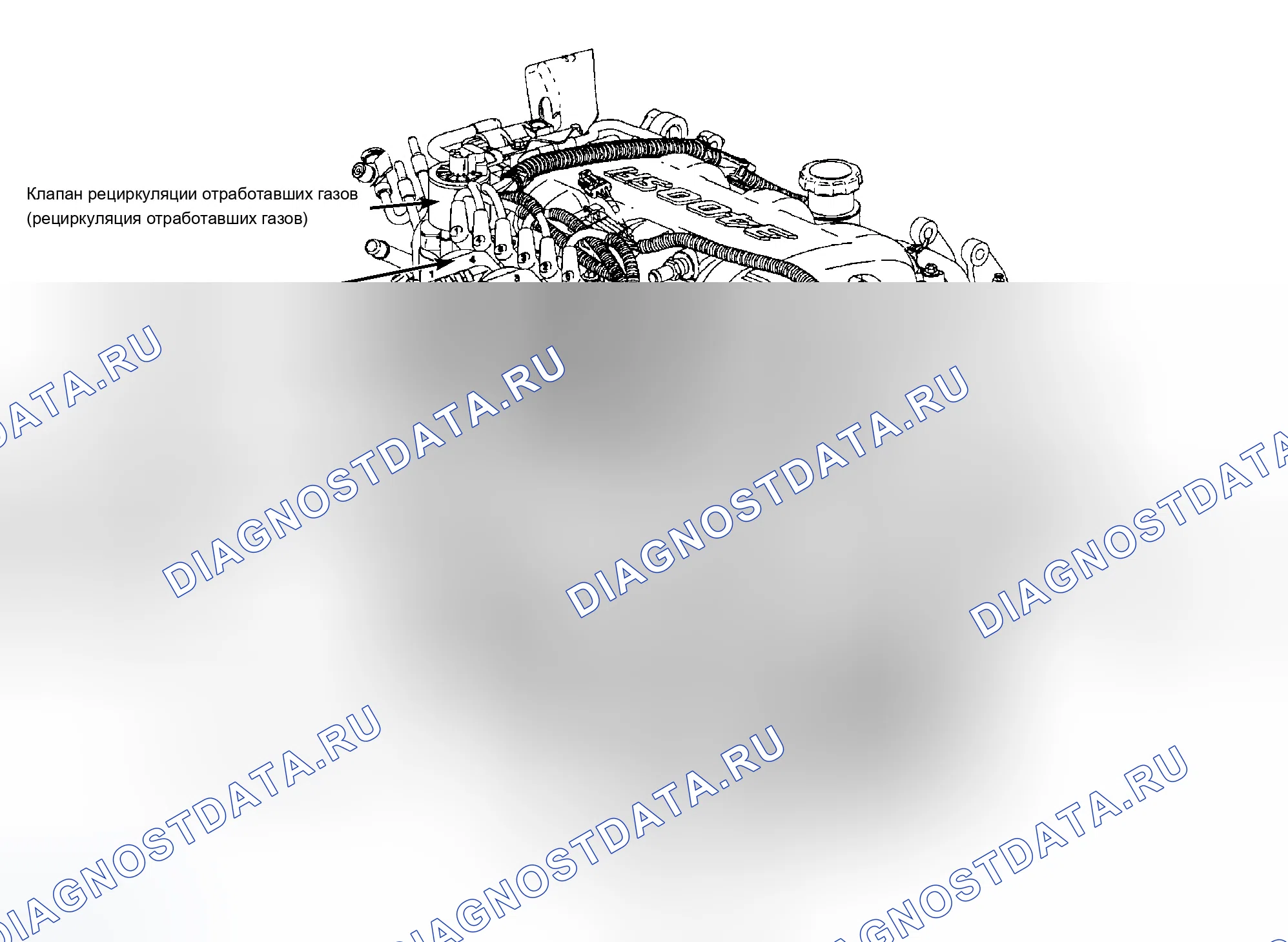 Рис. 2: Правая передняя часть двигателя. Chevrolet Venture I