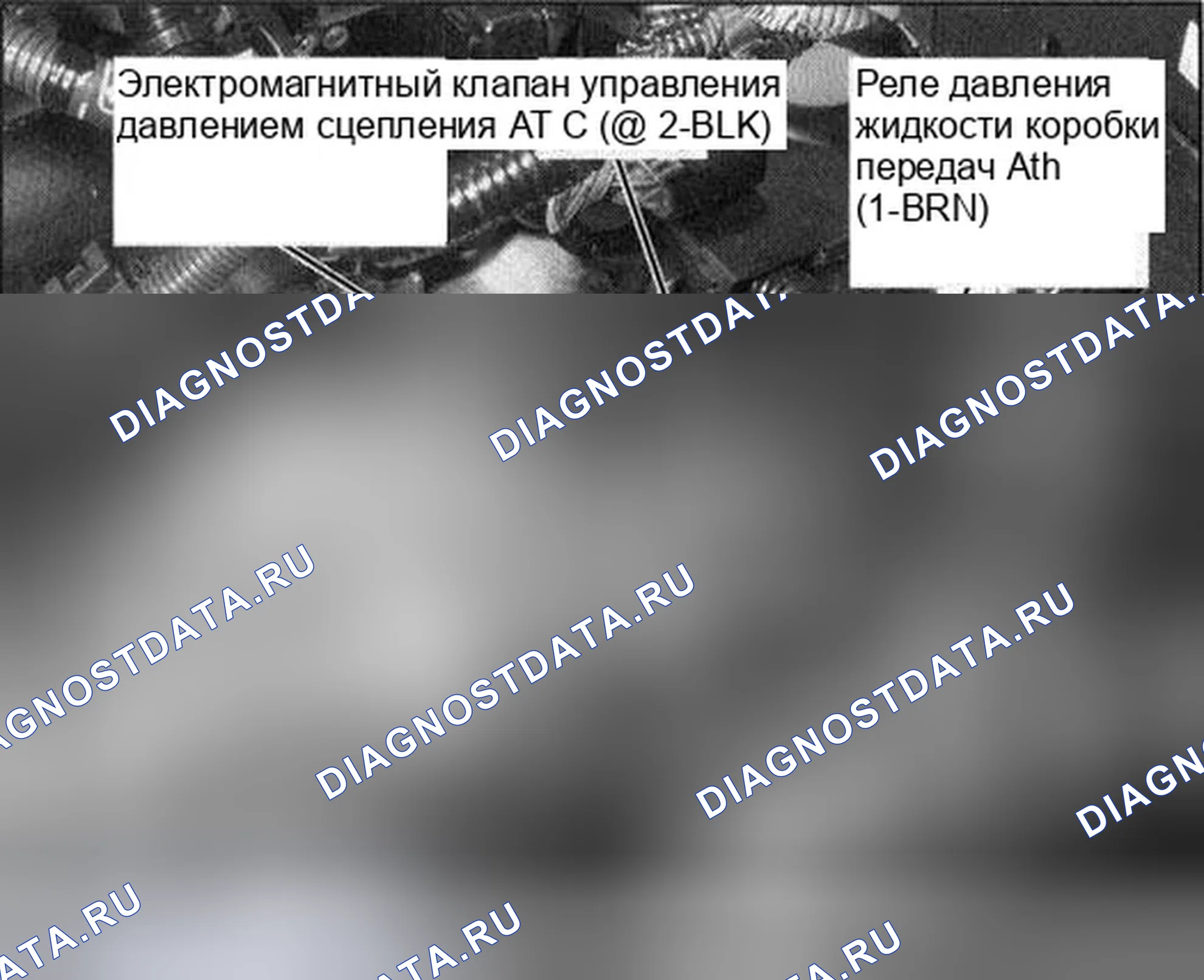 Рис. 39. Honda Accord VII рестайлинг