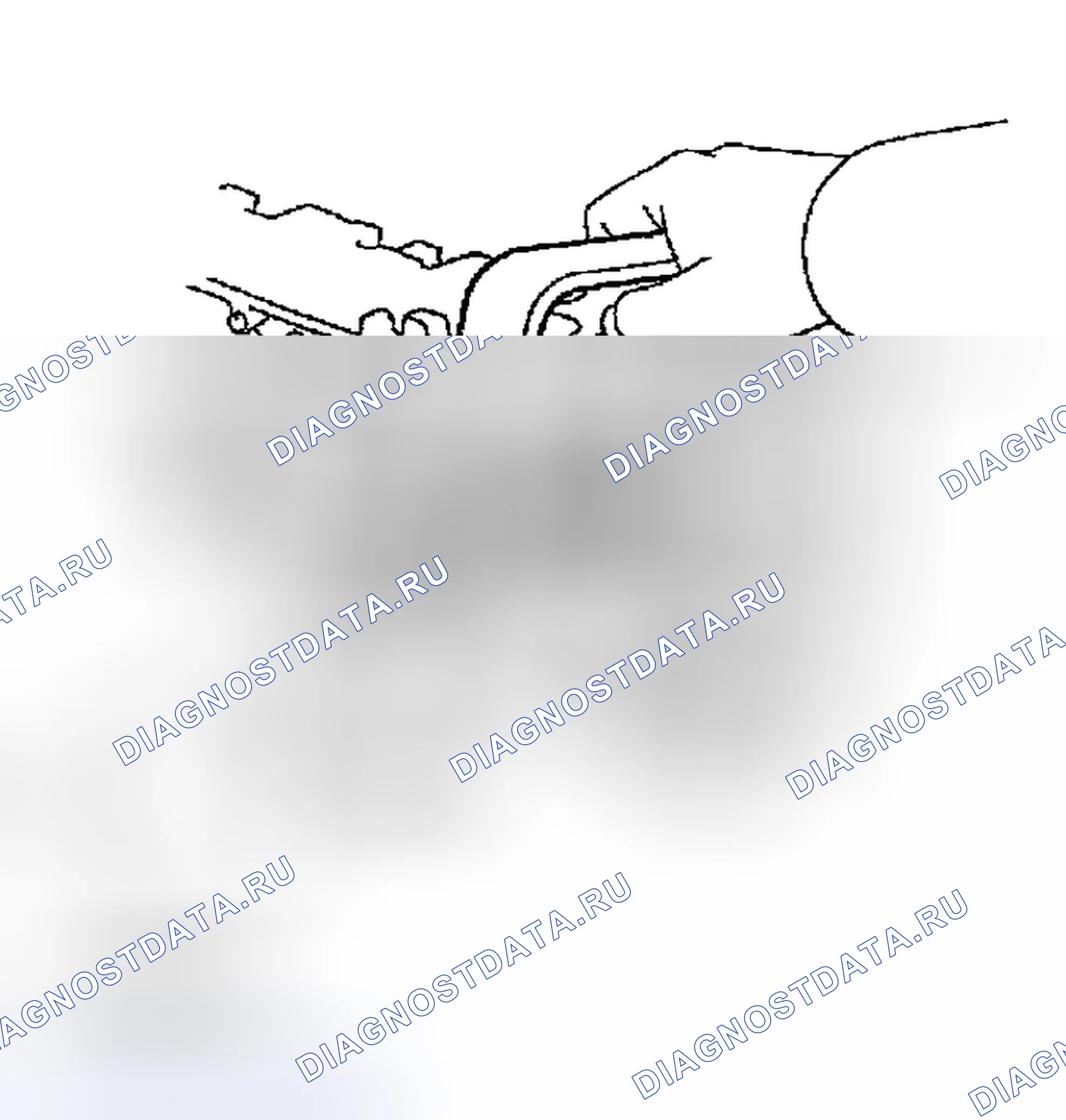 Рис. 102. Haval Menglong I