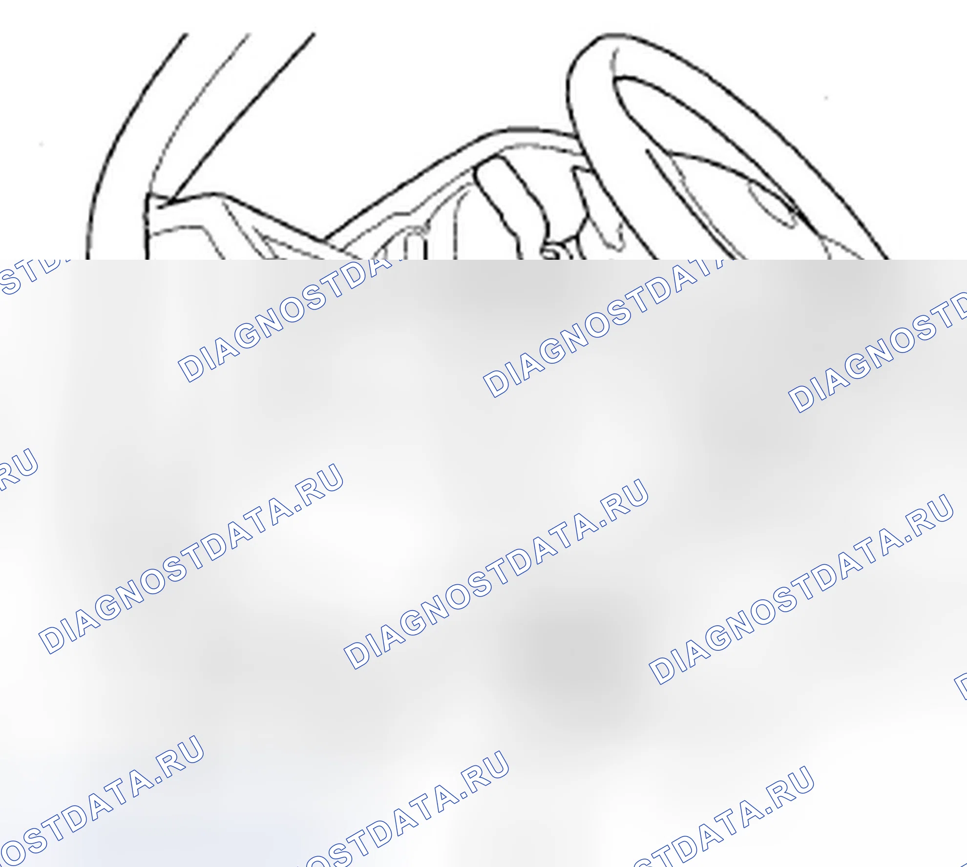 Рис. 255. Acura ZDX I