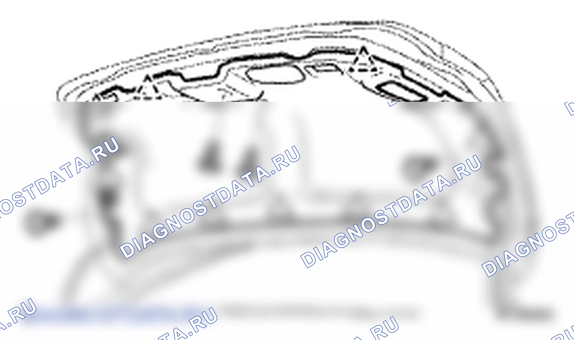 Рис. 66. Lexus LS IV