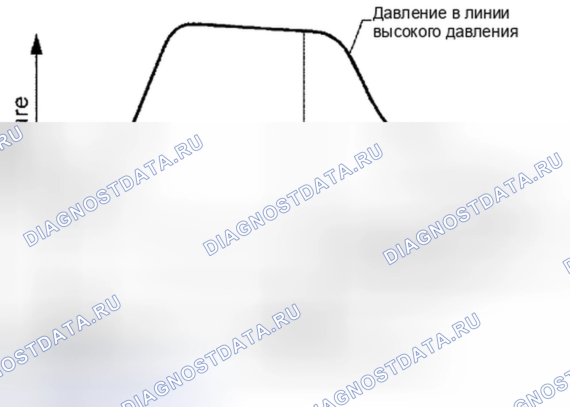 Рис. 22: ПРОЦЕДУРА ПРОВЕРКИ. Suzuki Equator I