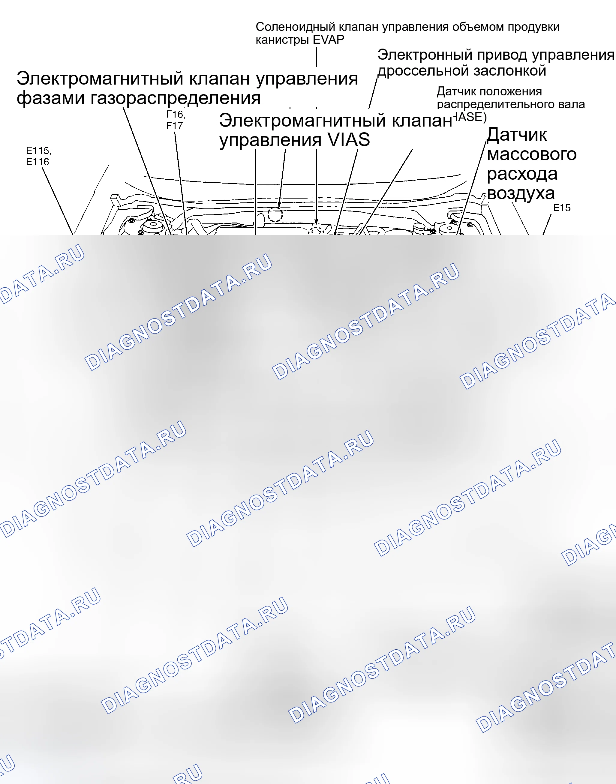 Рис. 1: ГРАФИКИ РАСПОЛОЖЕНИЯ КОМПОНЕНТОВ. Nissan Altima L31