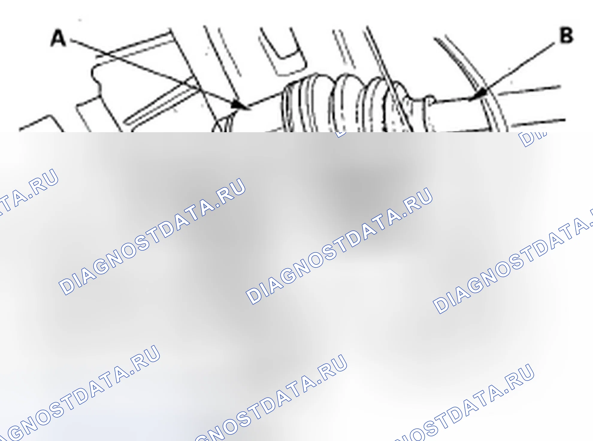 Рис. 6. Honda Element YH2 рестайлинг 2