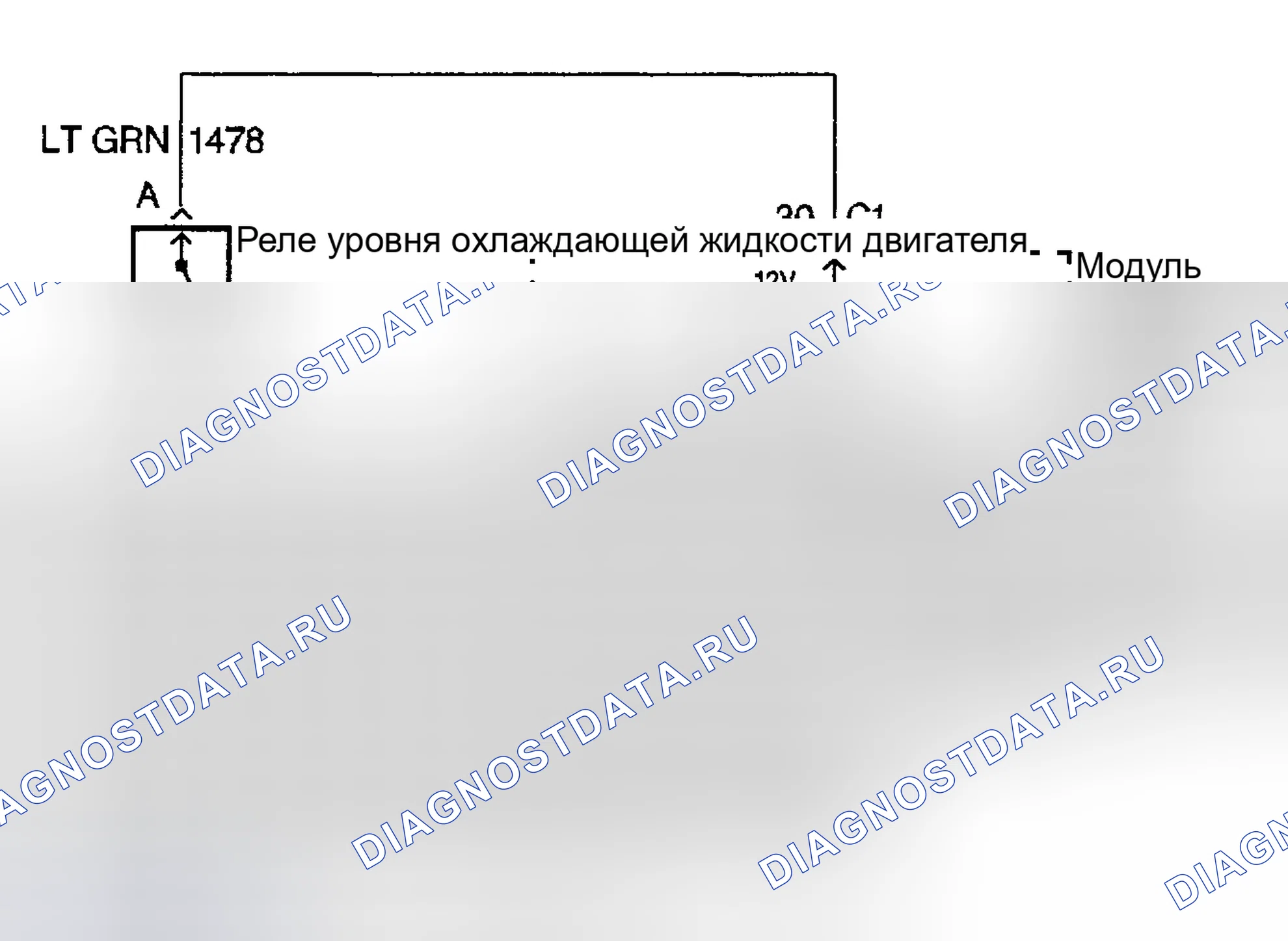 Рис. 9: Процедура испытаний. Mercedes-Benz Citan W420