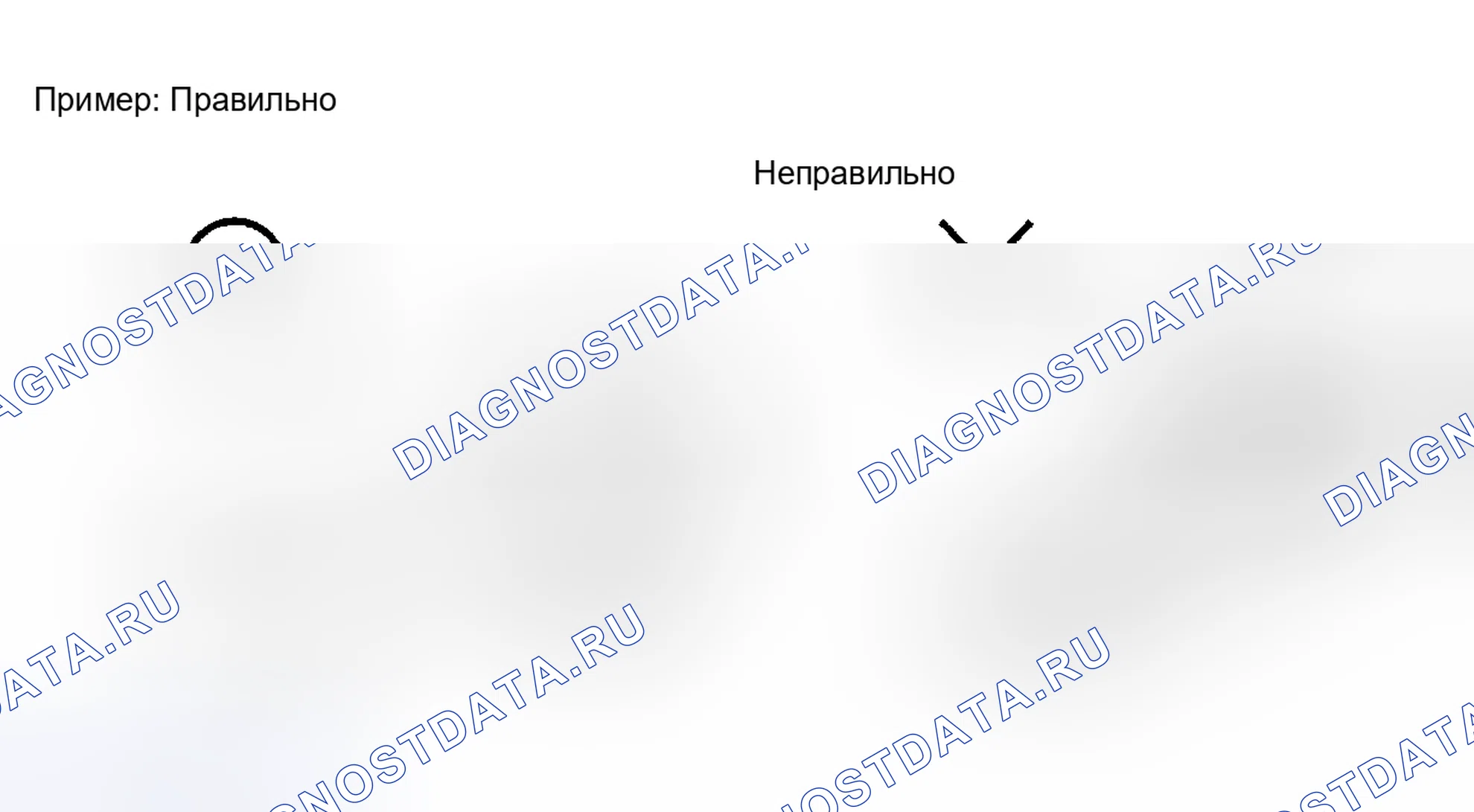 Рис. 39. Toyota Sequoia I