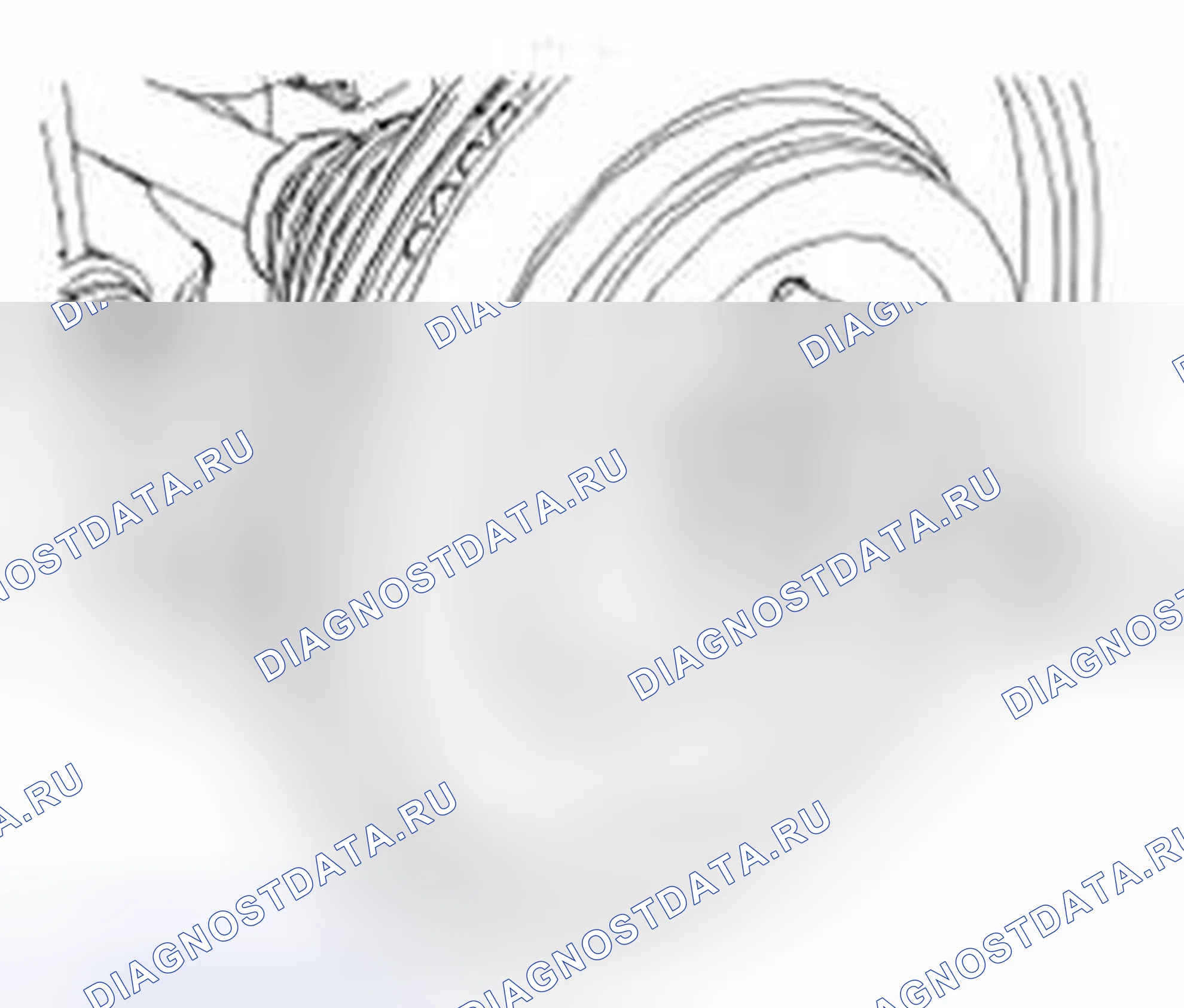 Рис. 25. Land Rover Range Rover Sport L320