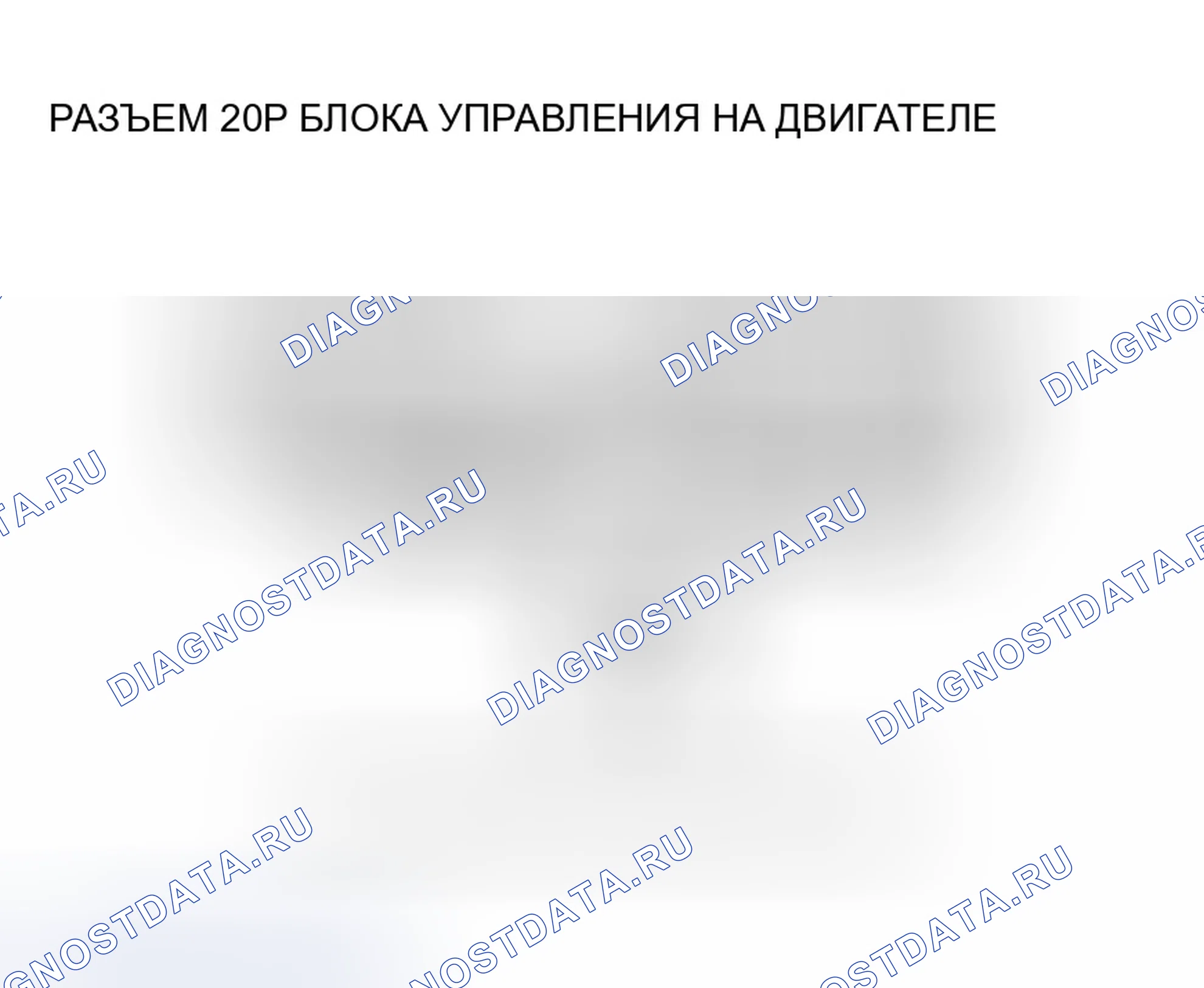 Рис. 601. Honda Accord VII рестайлинг