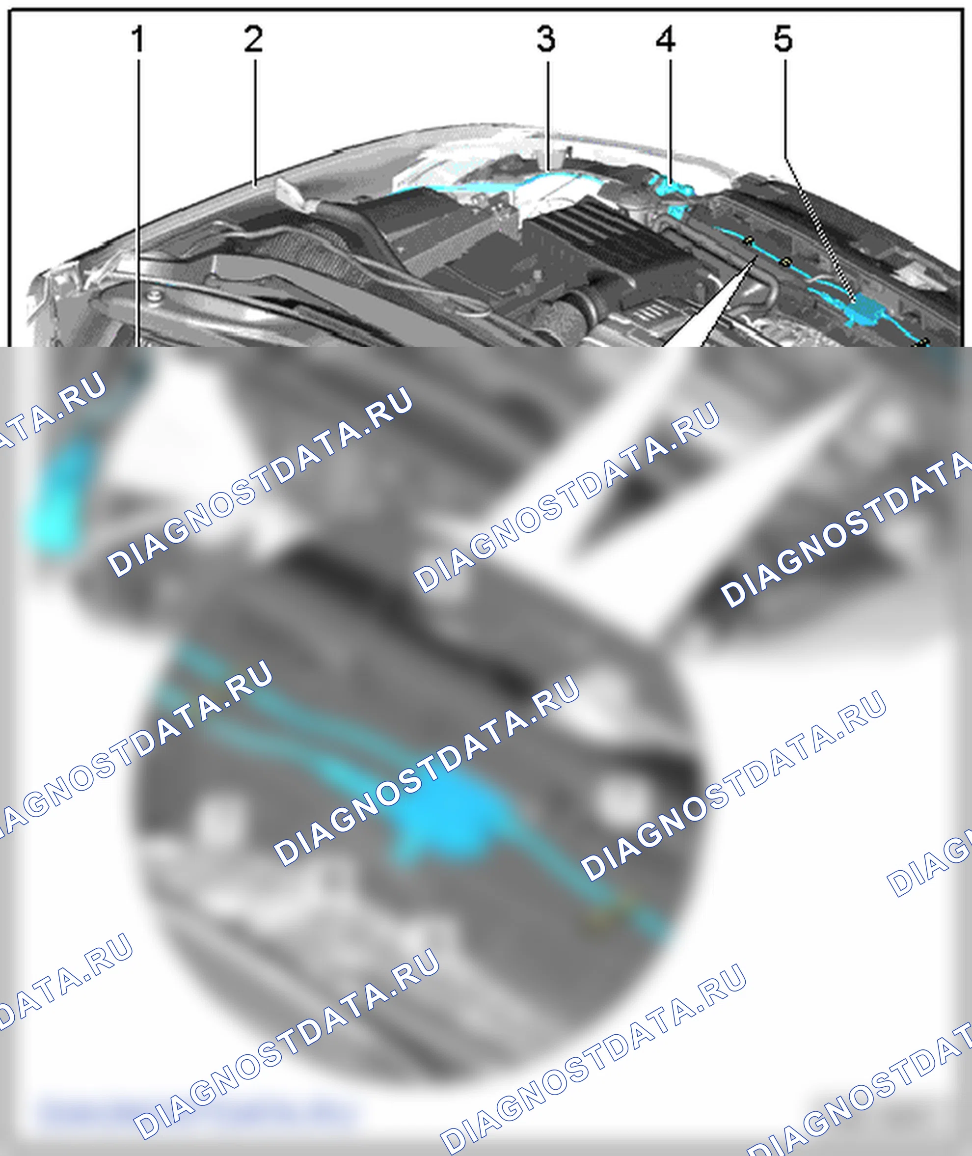 Капот. Audi A3 8V