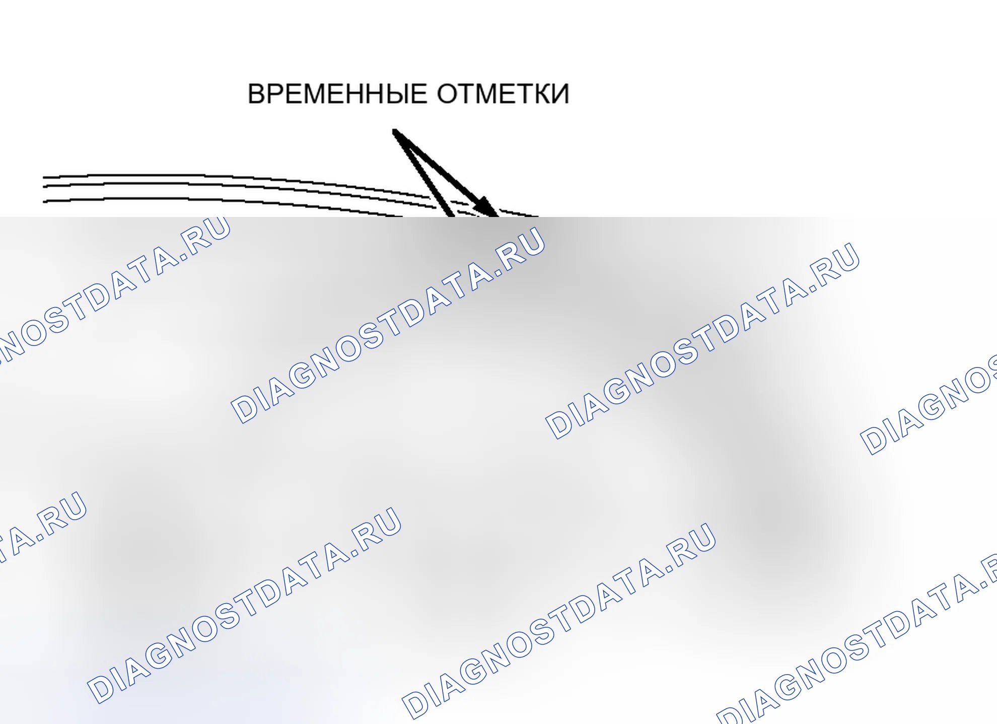Рис. 731: >> L <<УСТАНОВКА ЗУБЧАТОГО РЕМНЯ. Mitsubishi Lancer Evolution IX