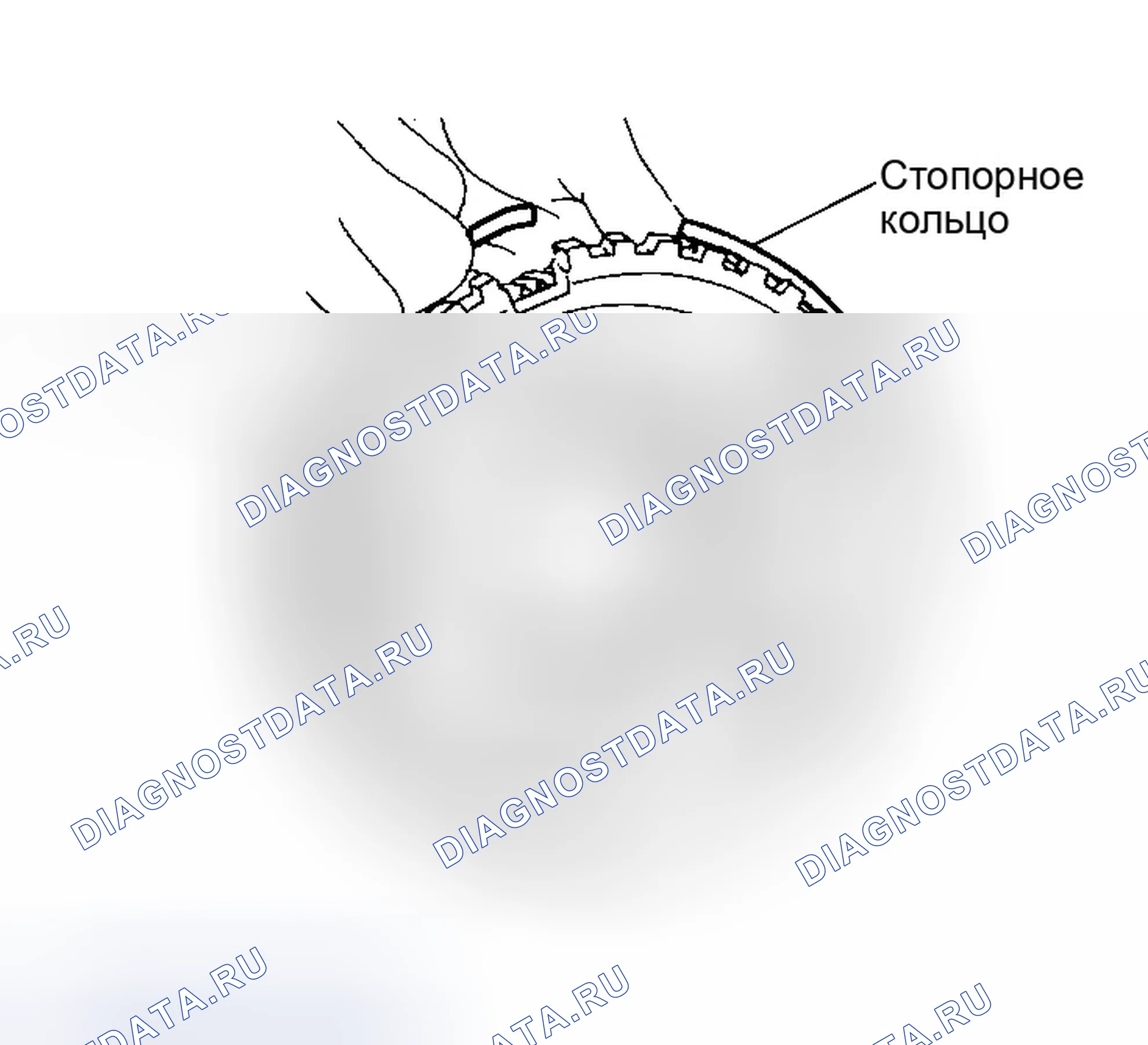 Рис. 538. Infiniti QX56 I