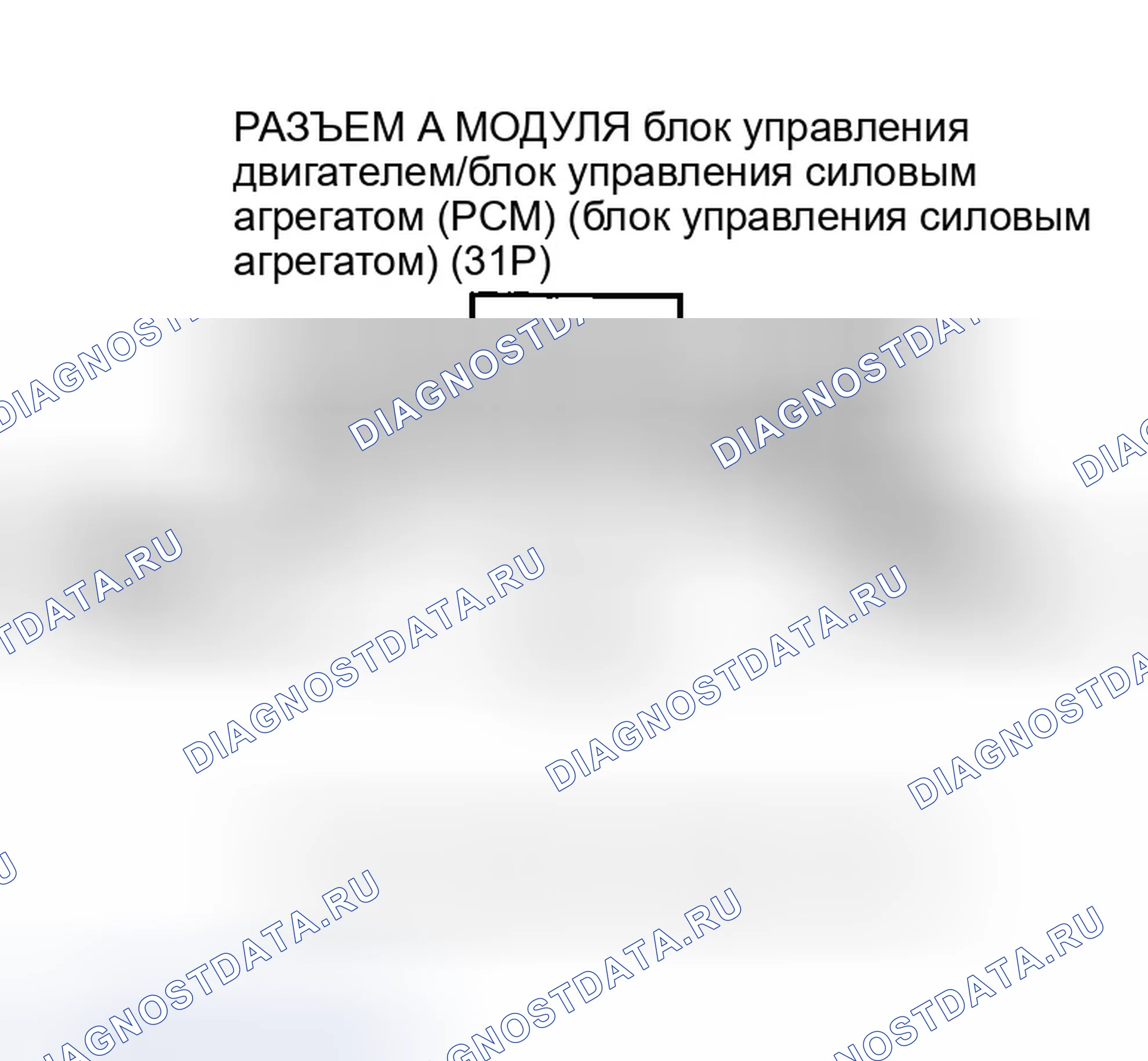 Рис. 90. Honda Element YH2