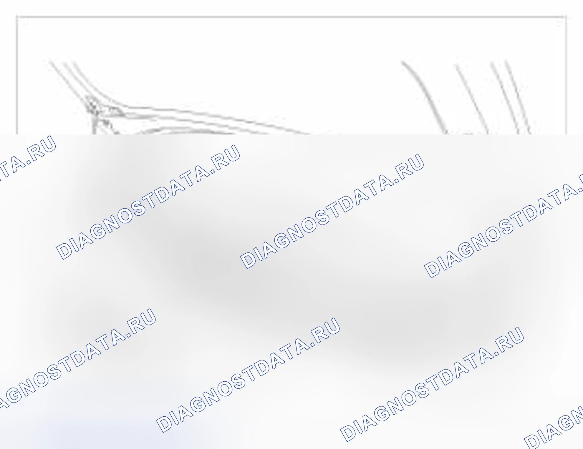 Рис. 23: Замена погодной полосы капота. BMW 6 серия F06/F13/F12