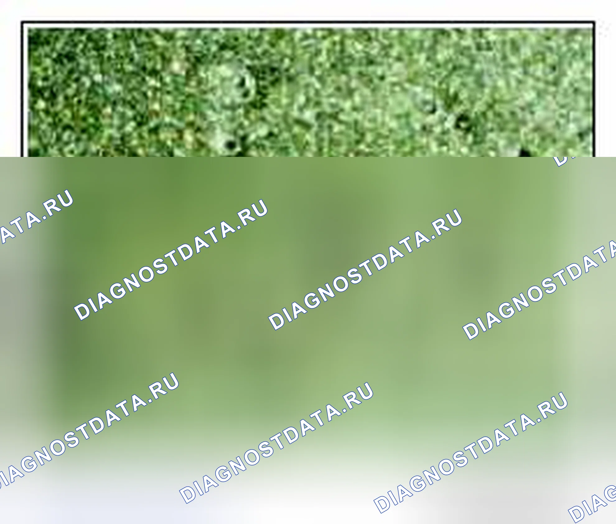 Рис. 77. Kia Soul I
