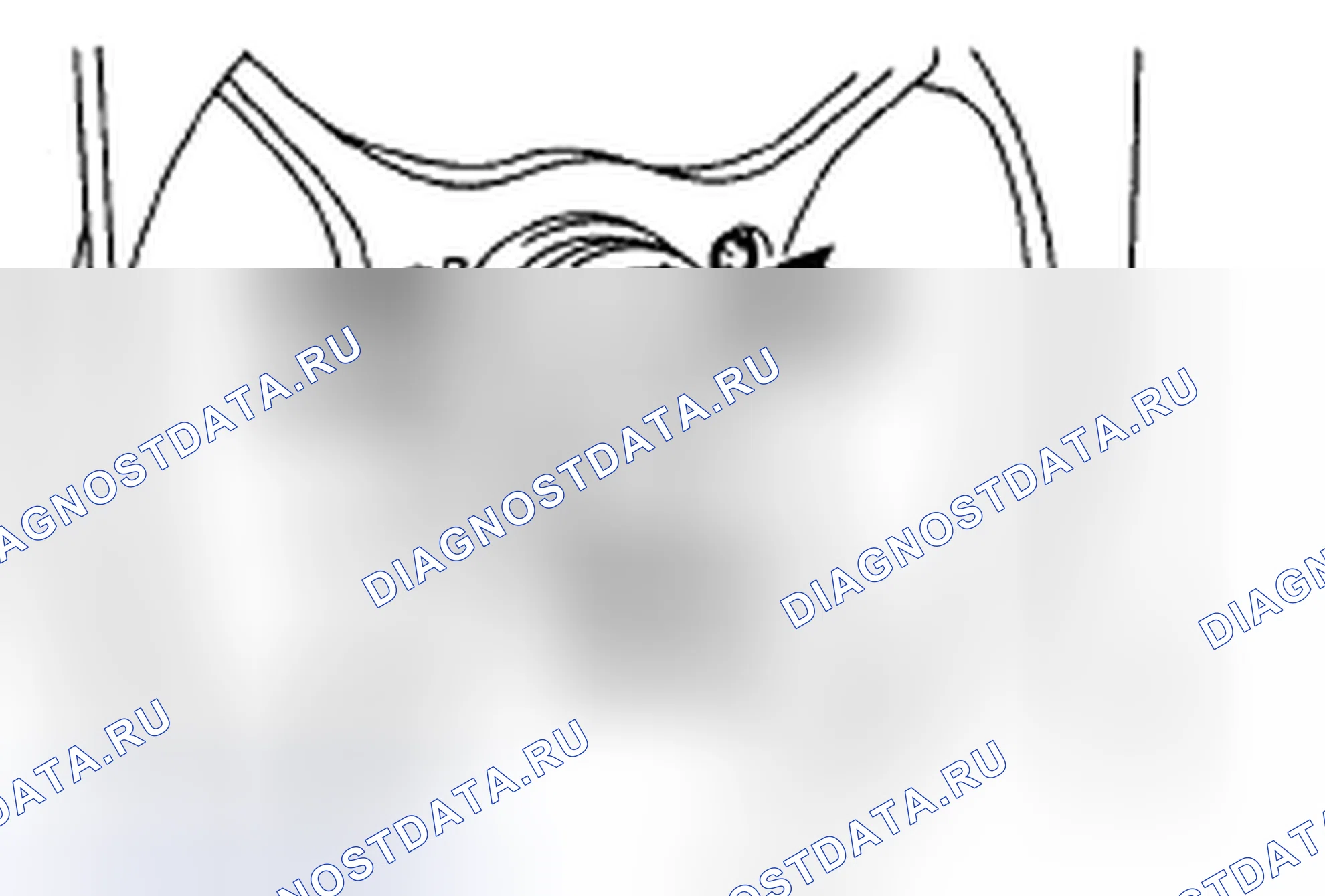 Рис. 83. Subaru Impreza GD/GC/GG рестайлинг 2