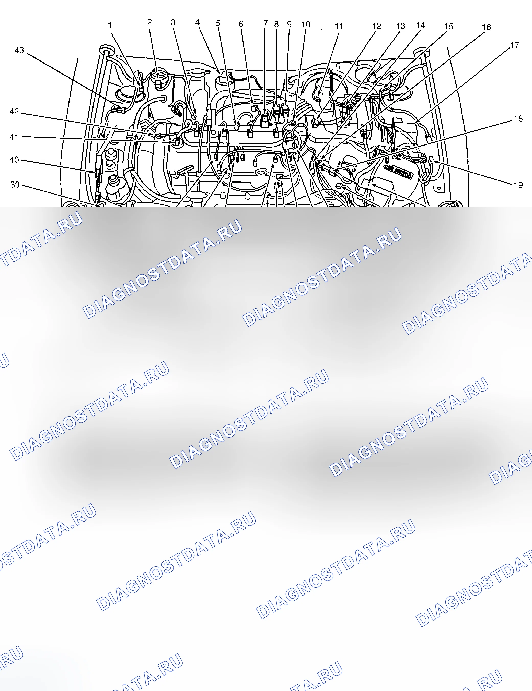 Рис. 3: Моторный отсек. Ford Escort ZX2 