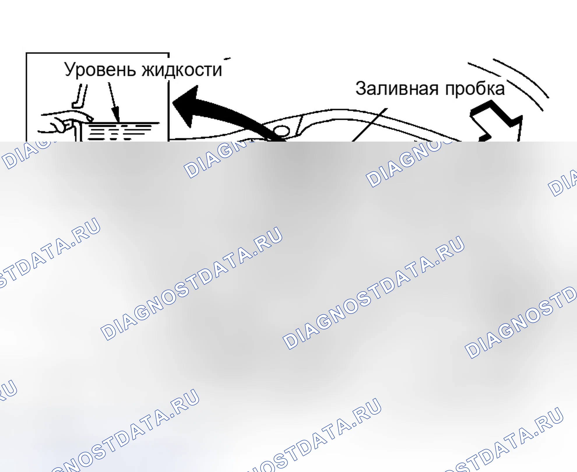 Рис. 9: ЗАПОЛНЕНИЕ. Infiniti M45 III