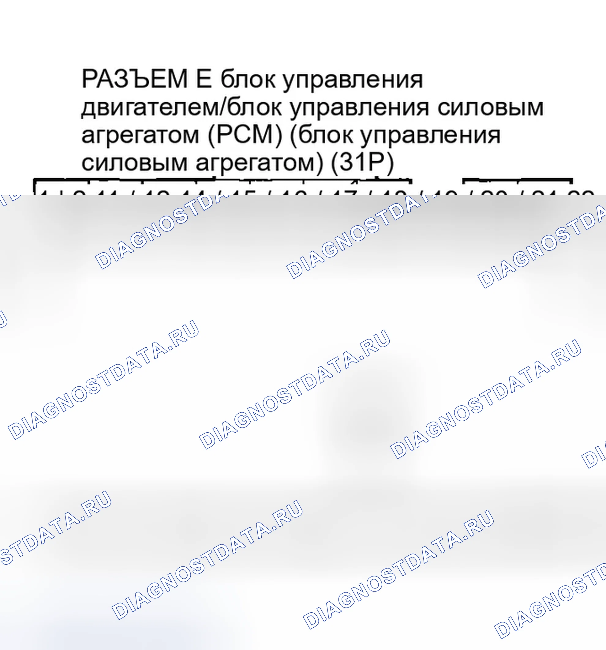 Рис. 10. Honda Accord VII рестайлинг