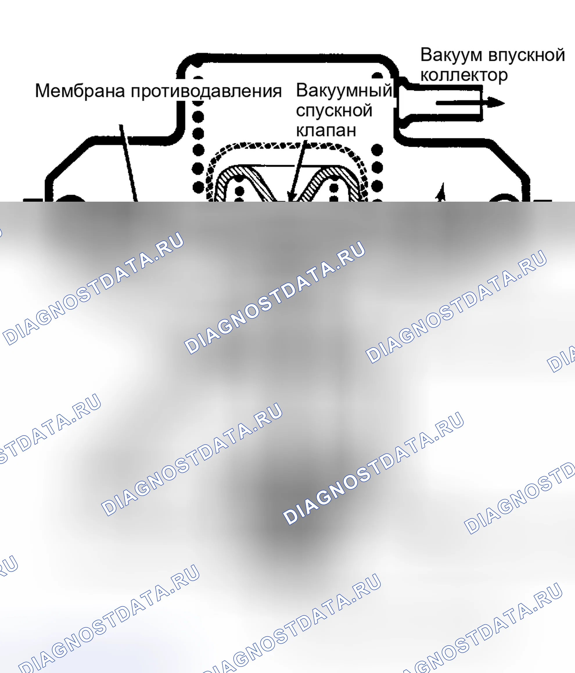 Рис. 4: Обратный клапан рециркуляция отработавших газов. Renault Fuego I