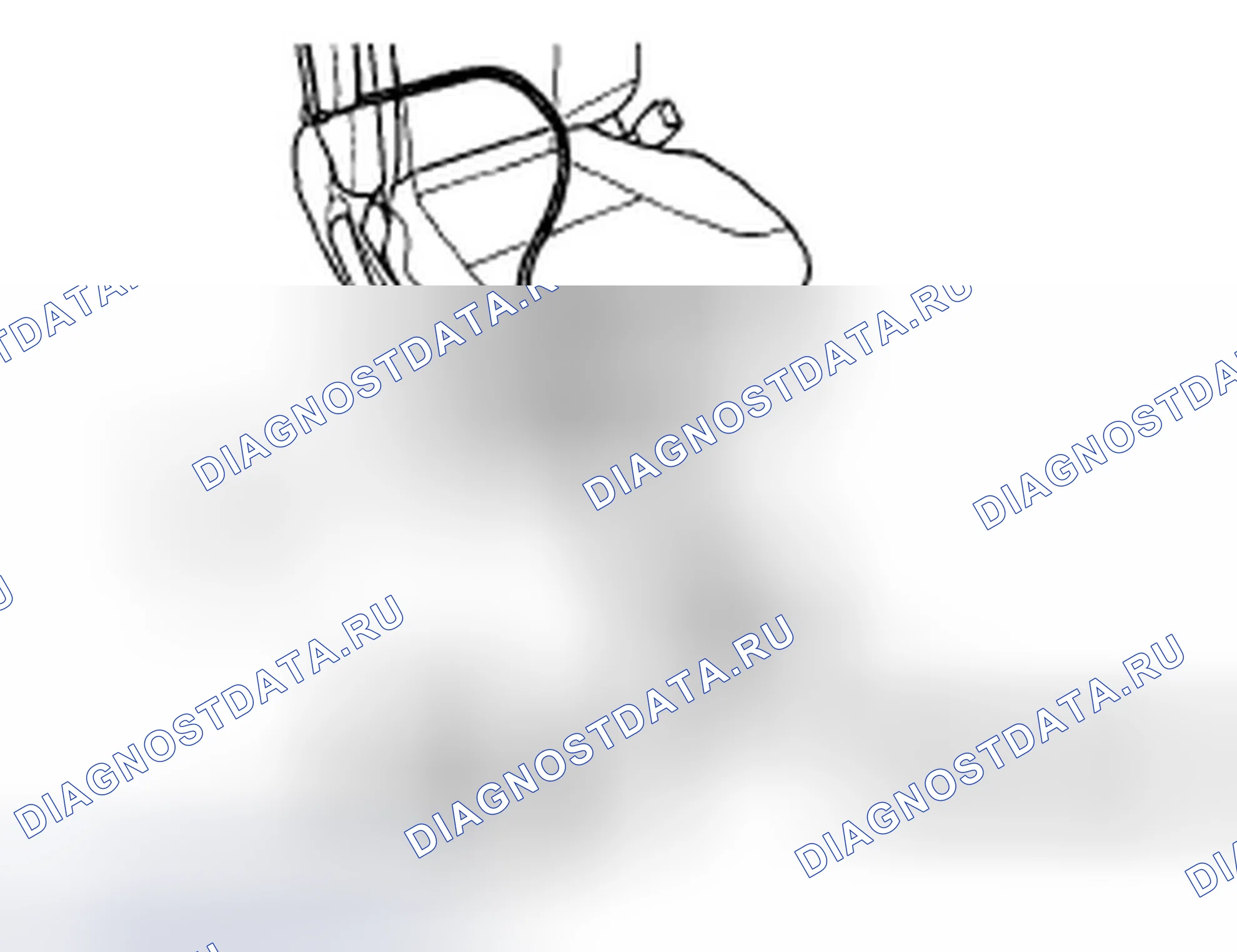 Рис. 85. Honda Element YH2 рестайлинг