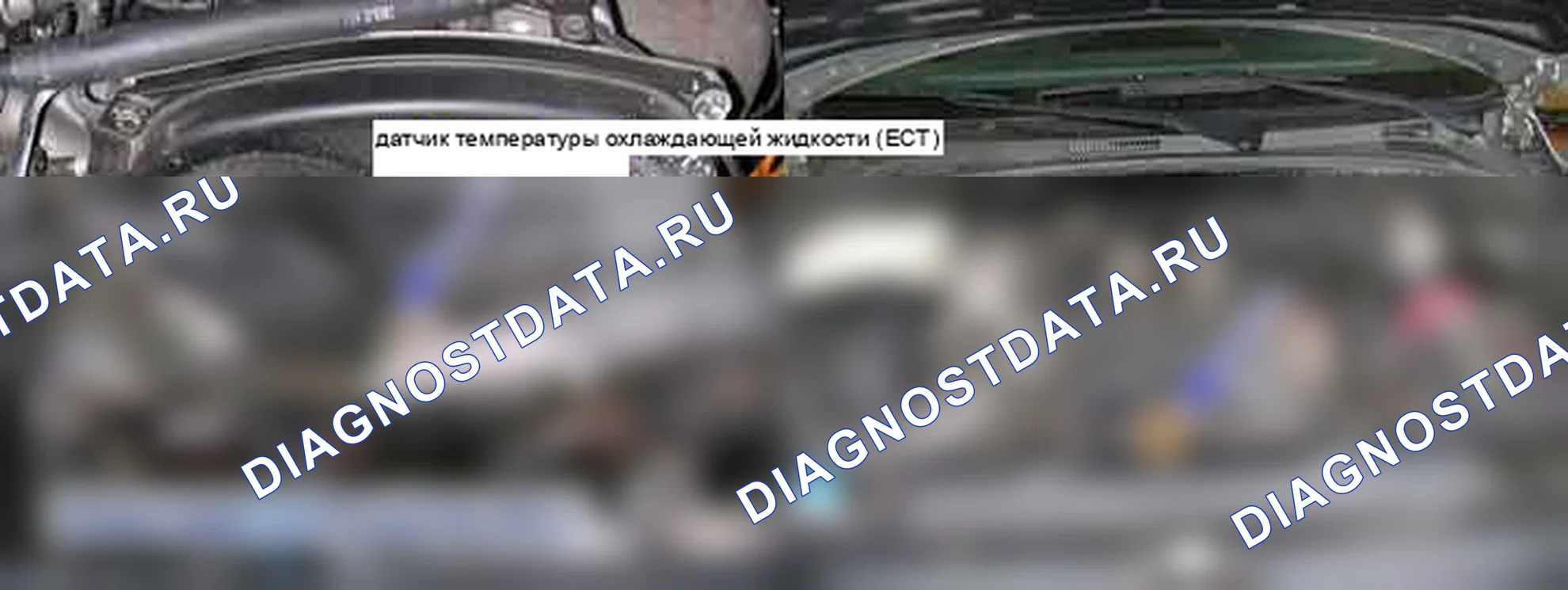 P0125: Недостаточная температура воды для управления топливом в замкнутом контуре. Kia Sorento BL