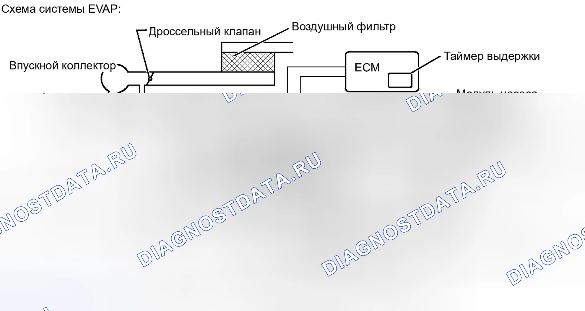 Рис. 356. Toyota Matrix E140