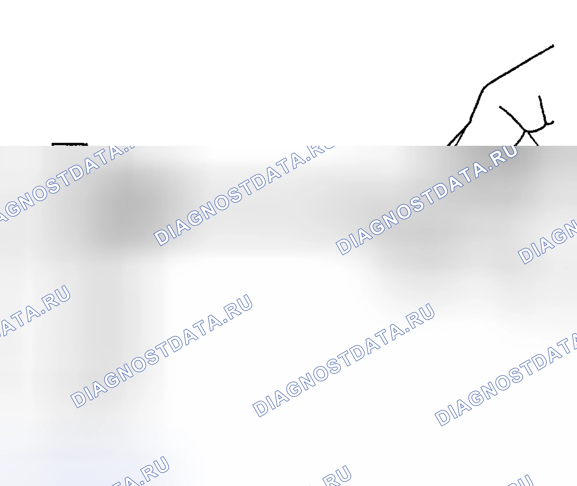 Рис. 1106. Hyundai Terracan I