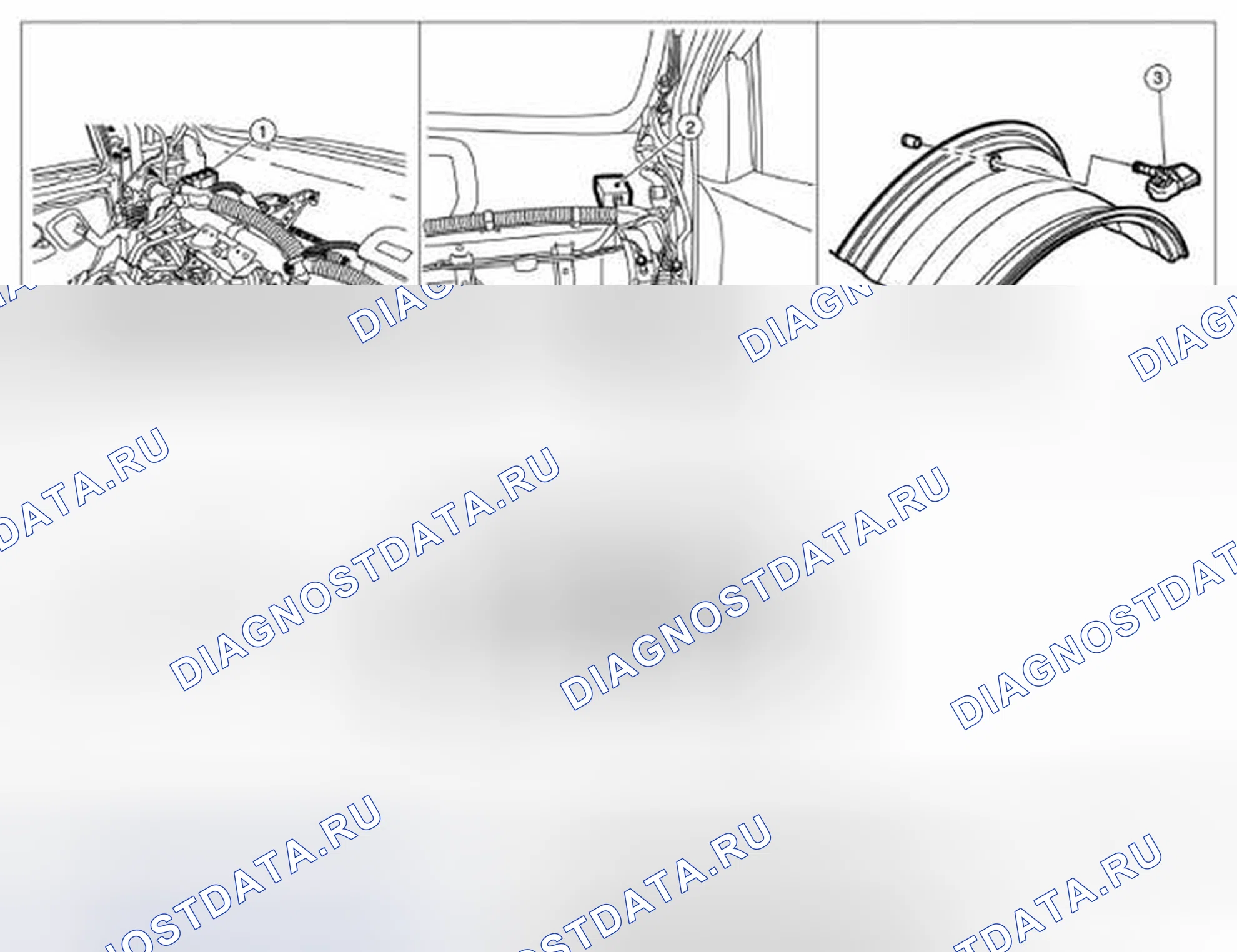 Рис. 18: Расположение компонентов. Audi RS6 C8