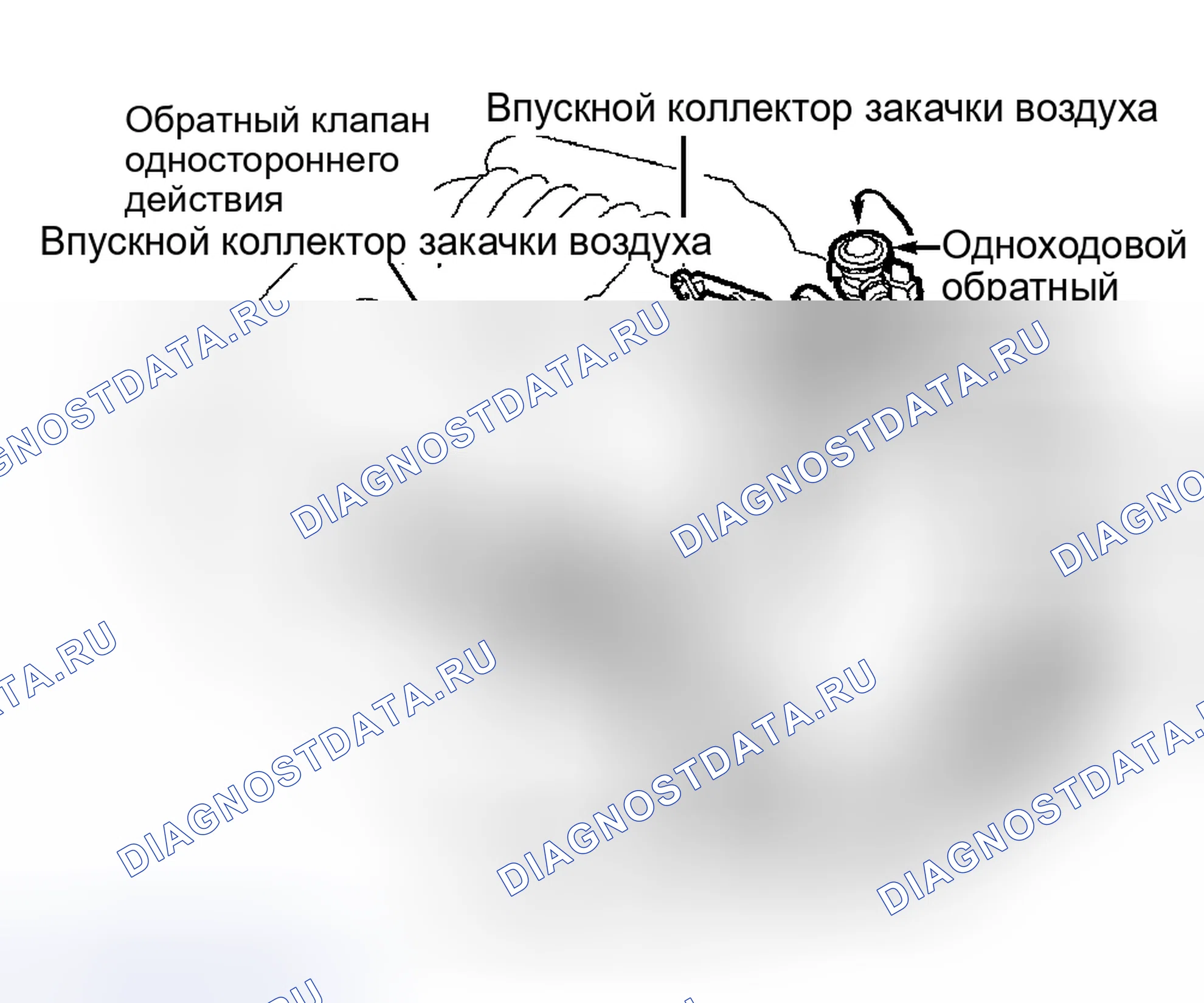 Рис. 14. Kia Picanto II
