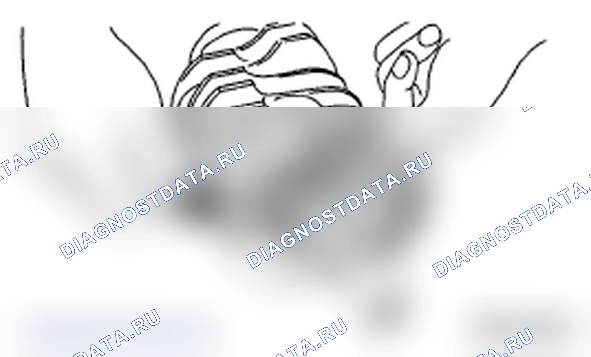 Рис. 465. Subaru Impreza WRX GD/GG рестайлинг 2