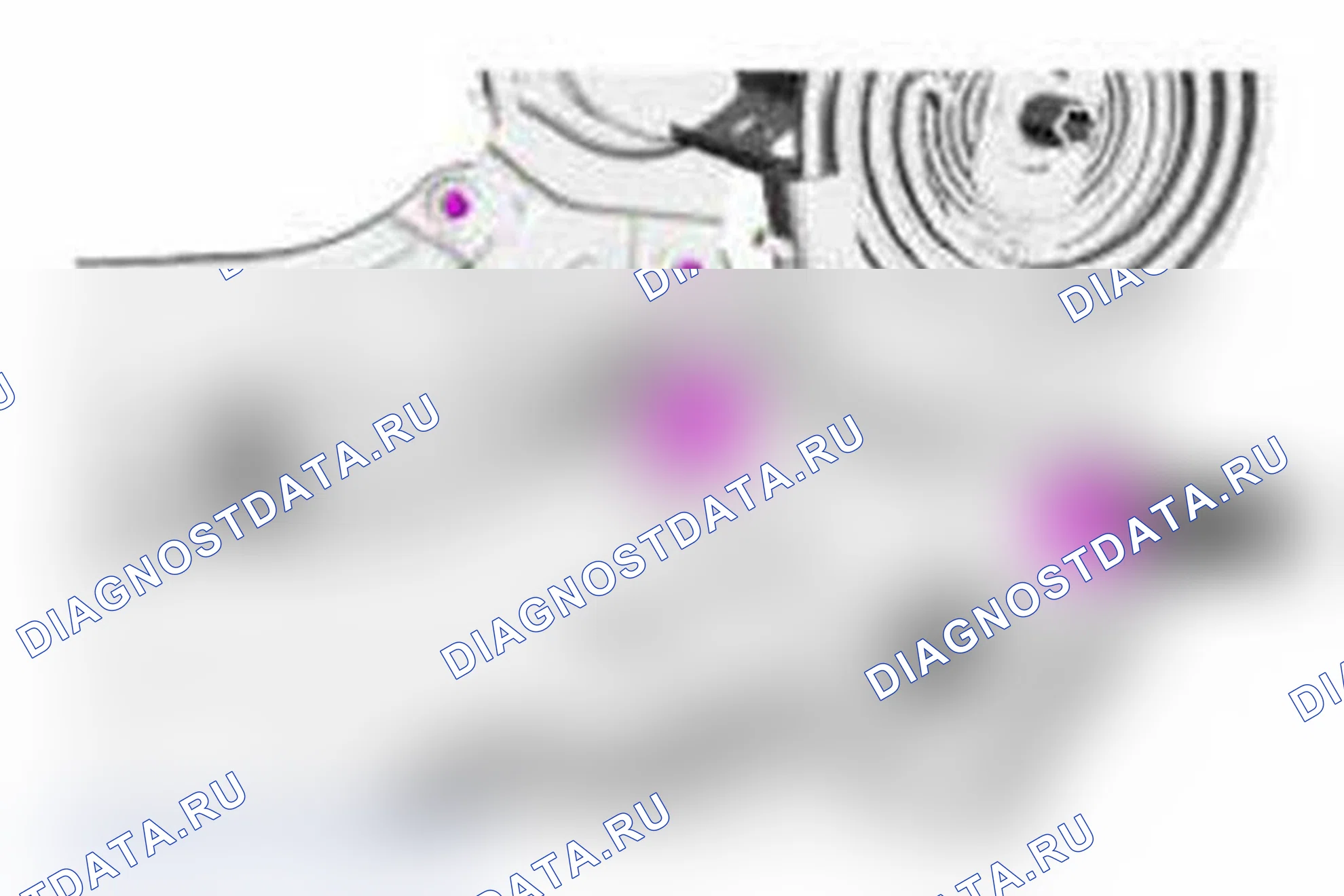 Рис. 26. Ford Focus III