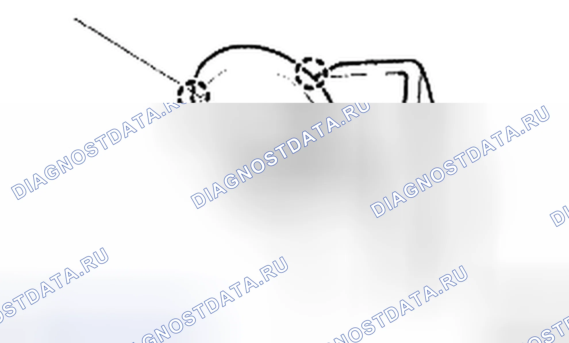 Рис. 248. Toyota Corolla X