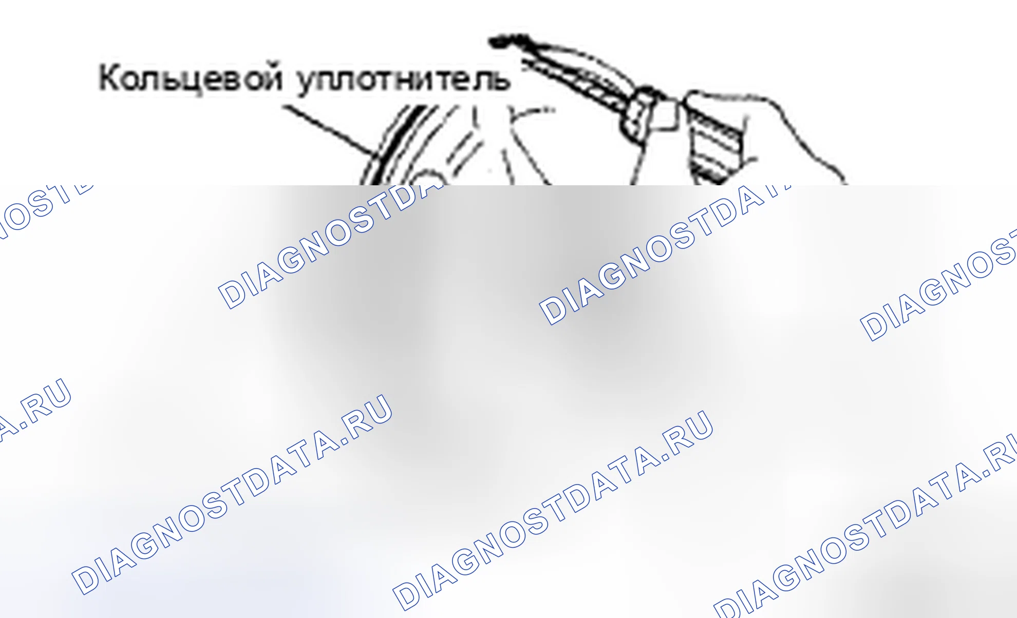 Рис. 239. Toyota Sienna II рестайлинг