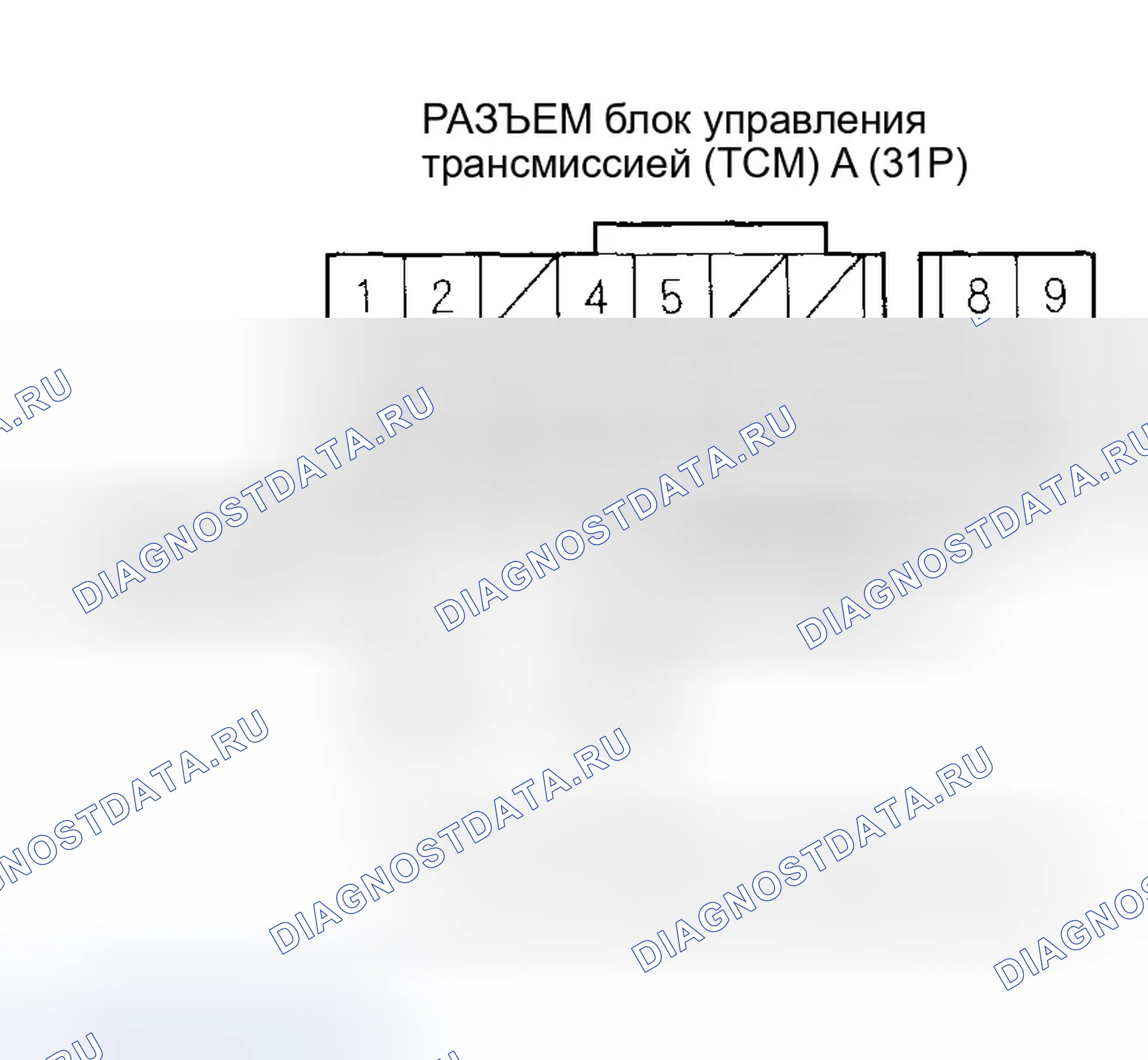 Рис. 1176: расшифровка кода ошибки P0717: Проблема в цепи датчика скорости входного вала (ведущего шкива) CVT (без ввода сигнала) (2003 AT. Honda Civic VII рестайлинг