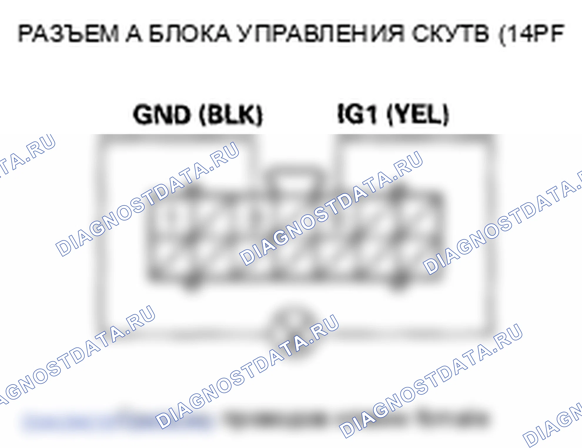 Рис. 6. Honda Element YH2 рестайлинг 2