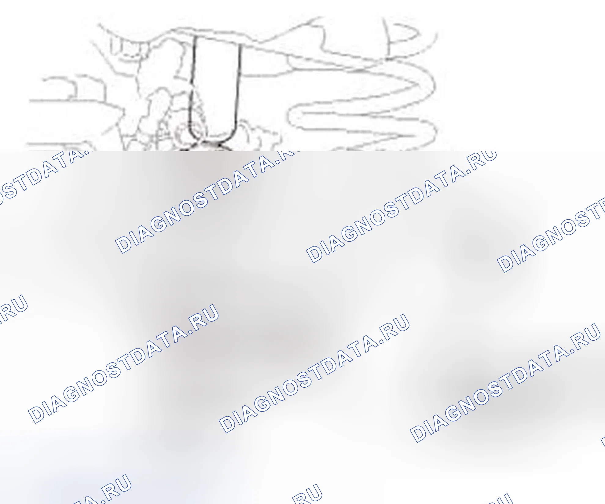 Рис. 4. Honda Civic IX